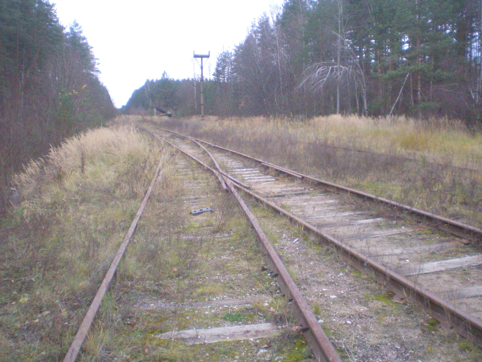 Железнодорожная линия Кривандино — Мишеронь  —  фотографии, сделанные в 2008 году (часть 19)