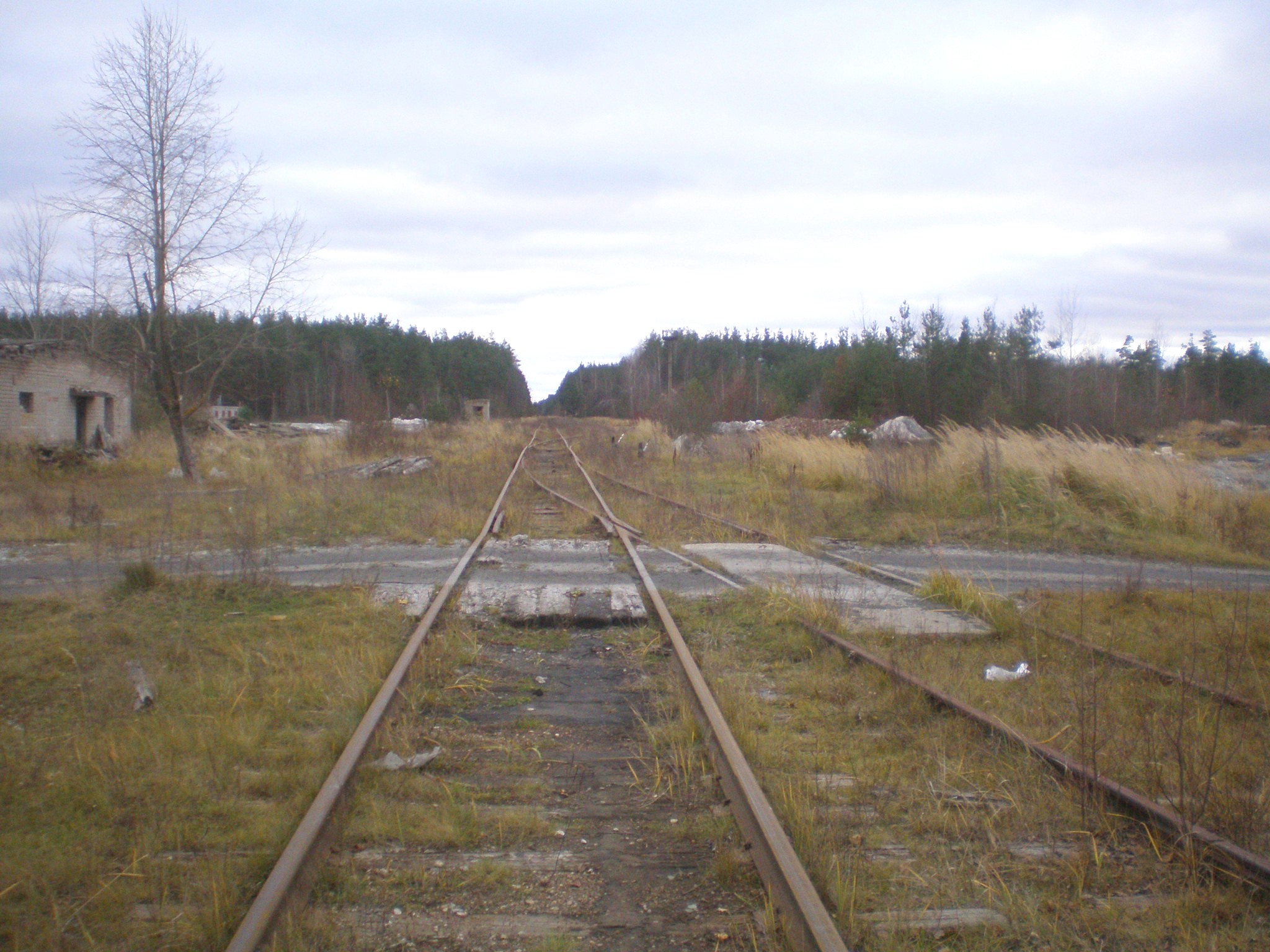 Железнодорожная линия Кривандино — Мишеронь  —  фотографии, сделанные в 2008 году (часть 20)