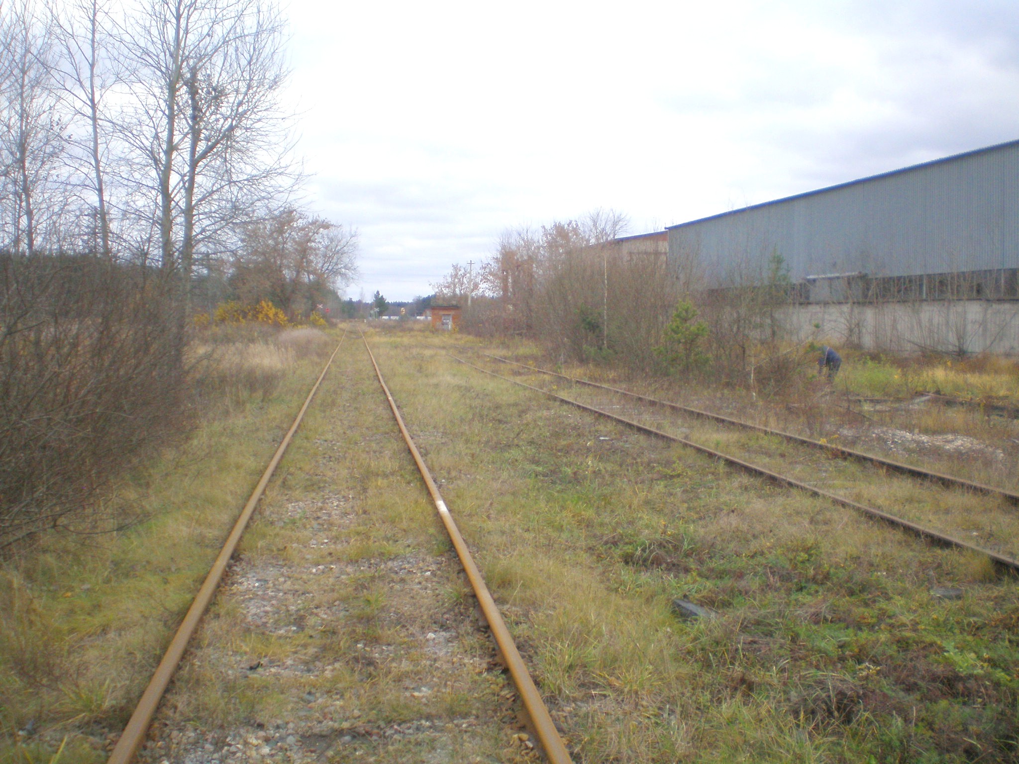 Железнодорожная линия Кривандино — Мишеронь  —  фотографии, сделанные в 2008 году (часть 5)