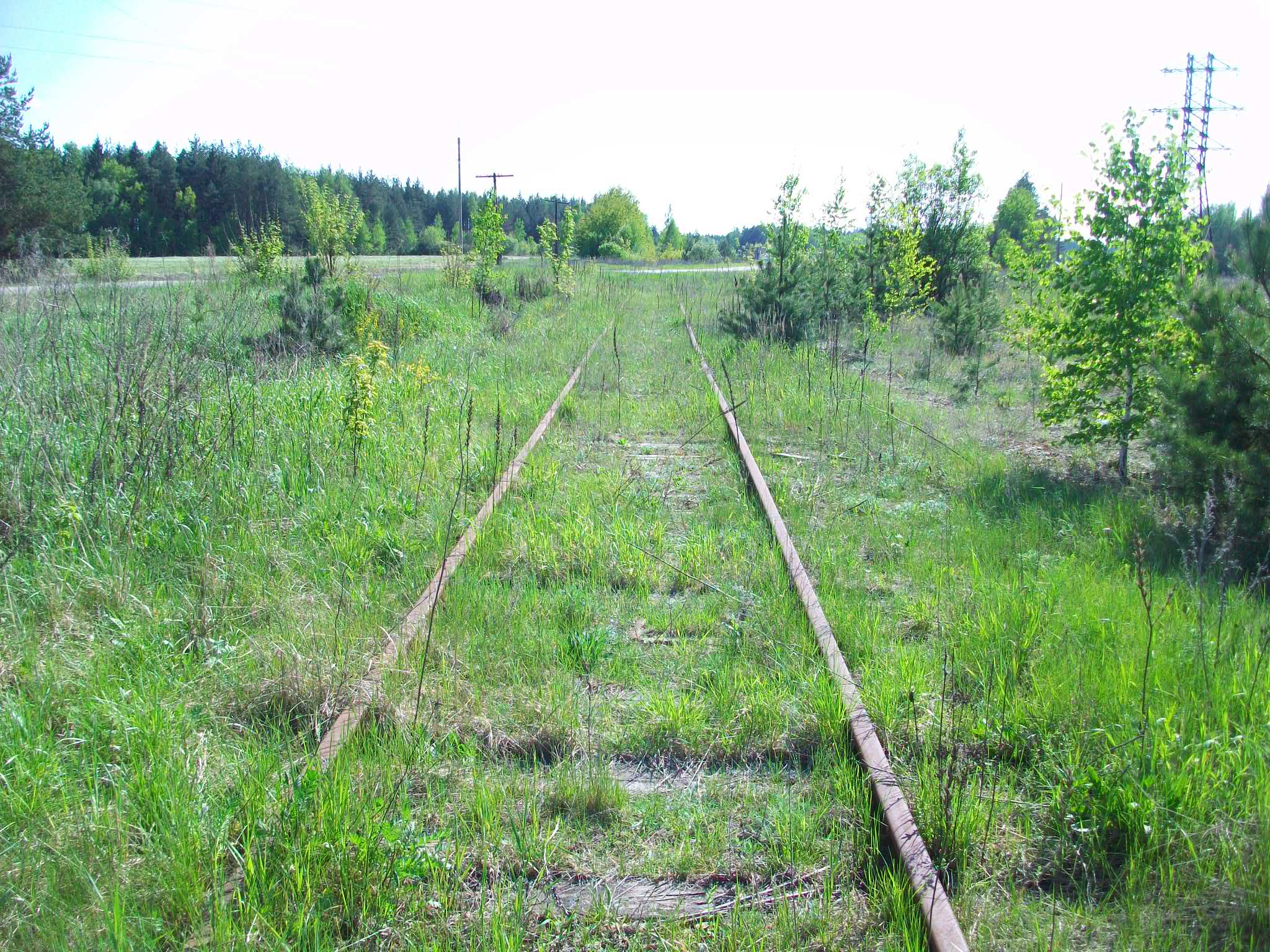 Железнодорожная линия Кривандино — Мишеронь — фотографии, сделанные в 2015 году (часть 2)