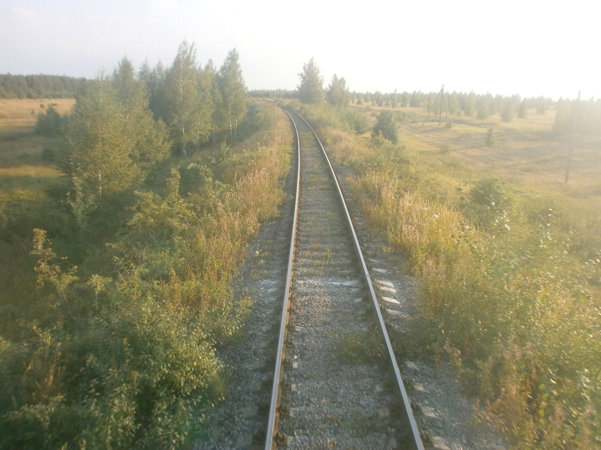 Рязань биркино. Станция Вослебово Рязанская область. Станция Биркино Рязанская область. Вослебово станция ЖД. Биркино Псковская область.