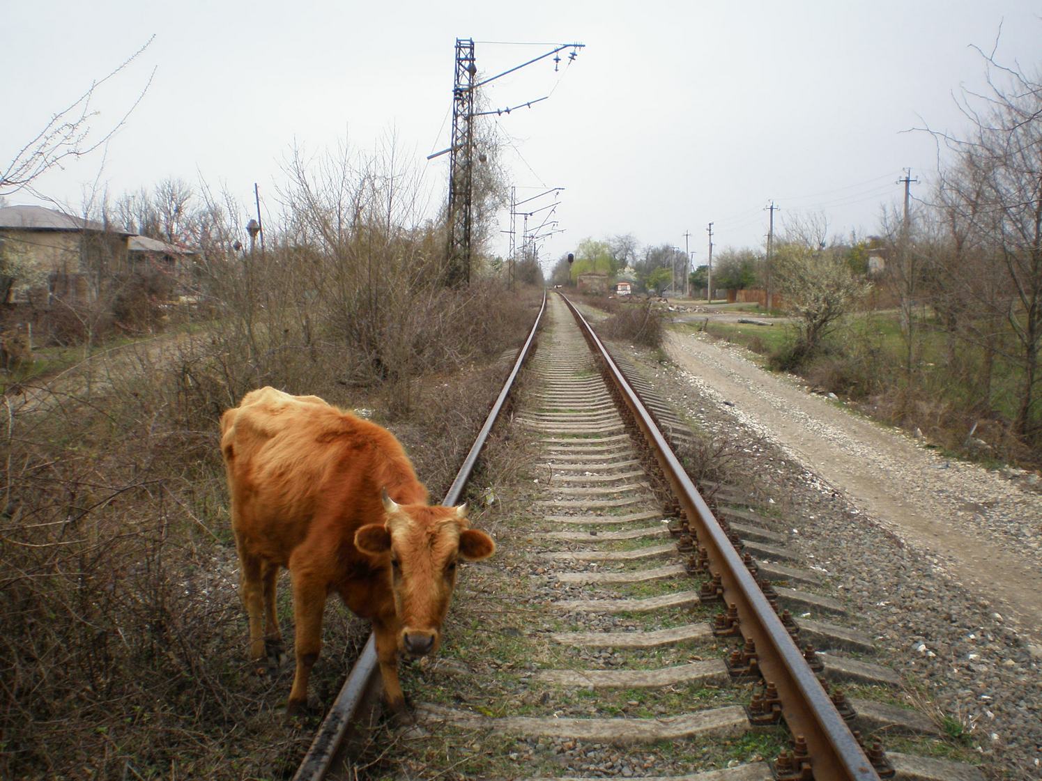 Абхазская железная дорога — фотографии, сделанные в 2008 году (часть 16)