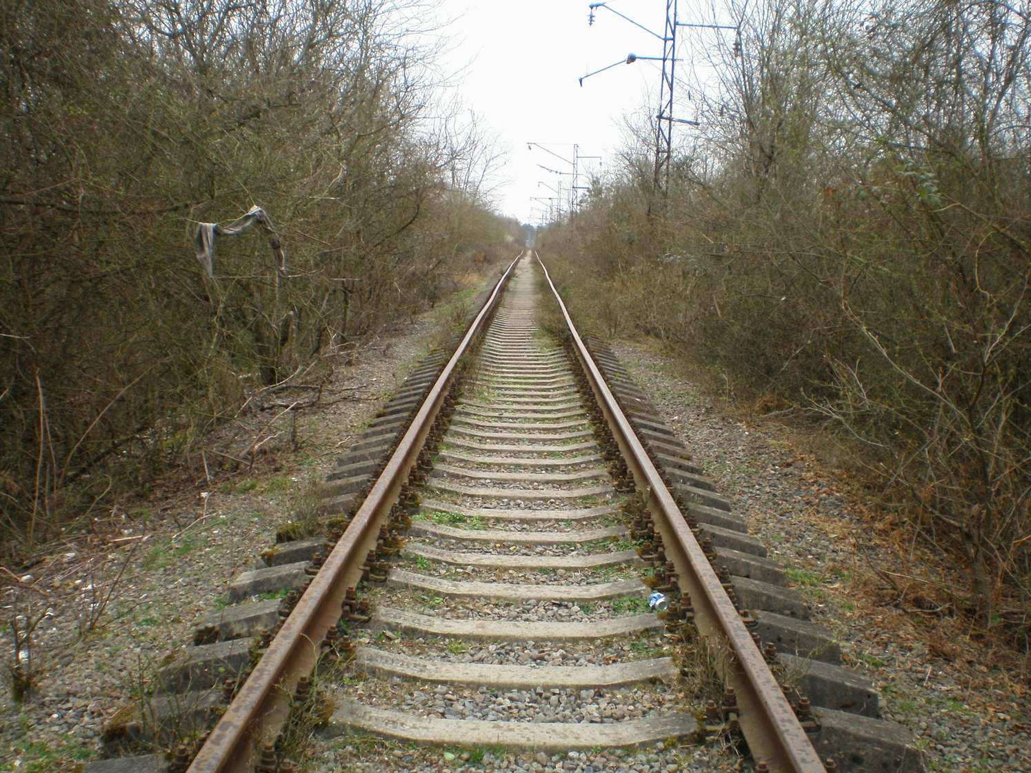 Абхазская железная дорога — фотографии, сделанные в 2008 году (часть 17)