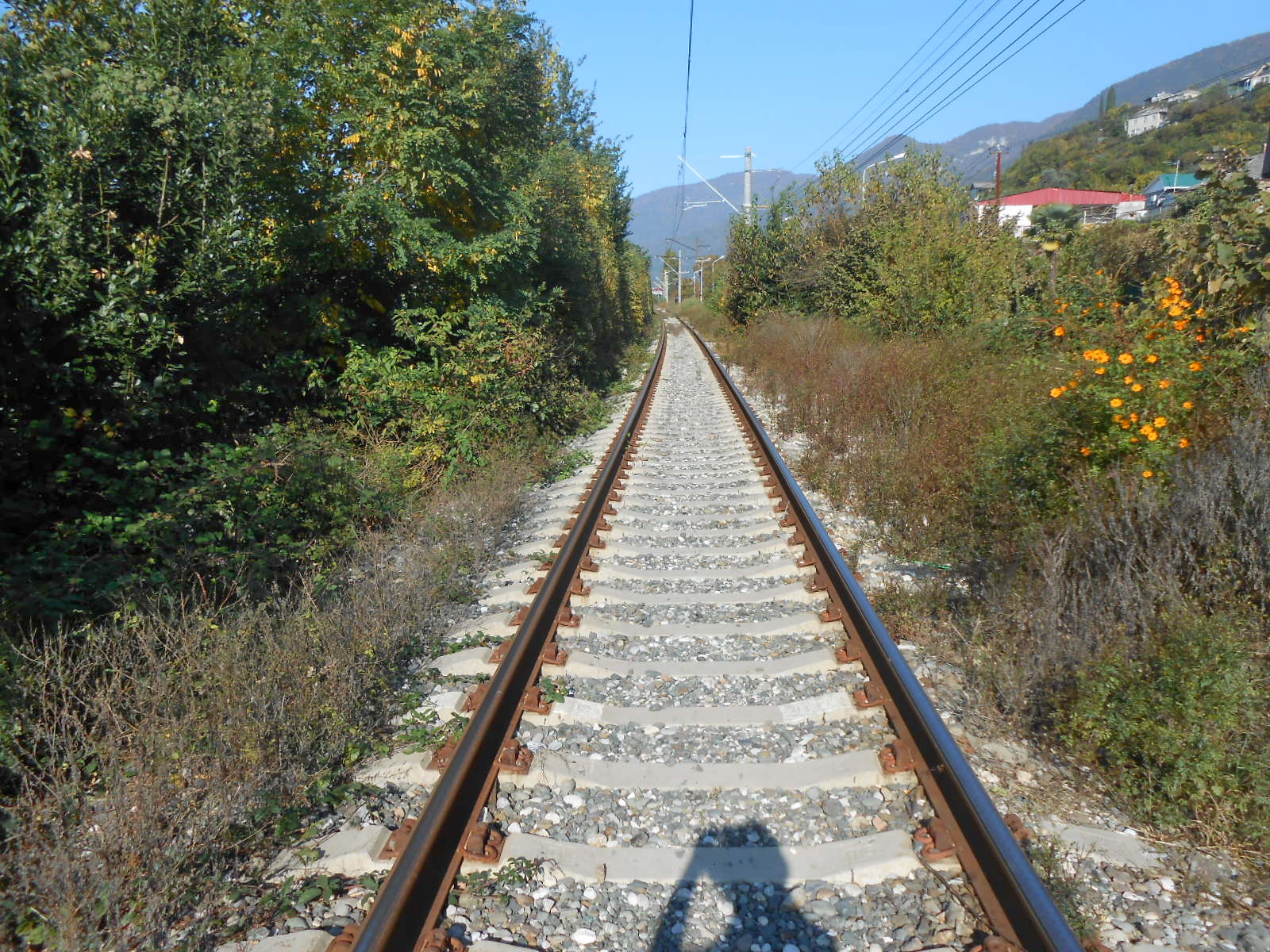 Абхазская дорога. Железная дорога в Гаграх. Железная дорога в Очамчире. Станция Келасури Абхазия. ЖД Гагра.