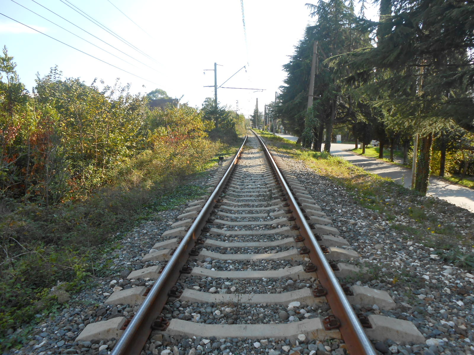 Абхазская железная дорога — фотографии, сделанные в 2014 году (часть 4)