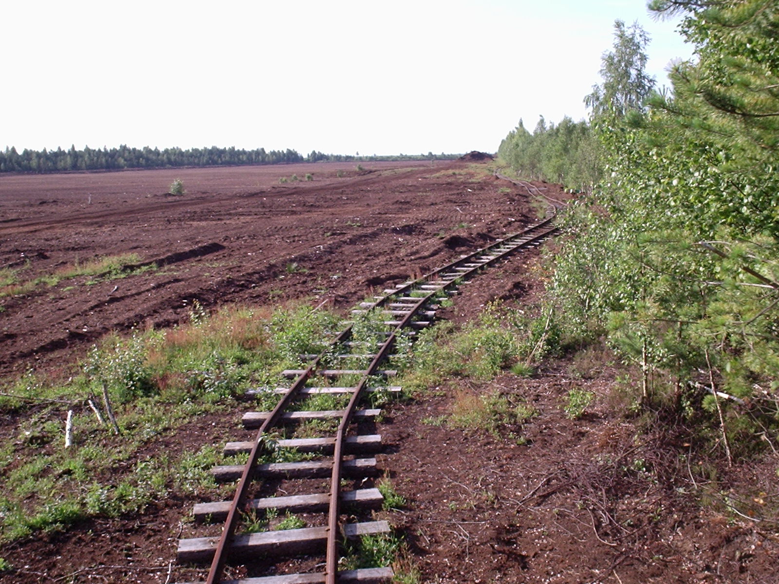 Узкоколейная железная дорога торфопредприятия «Дедово Поле» - фотографии (часть 3)