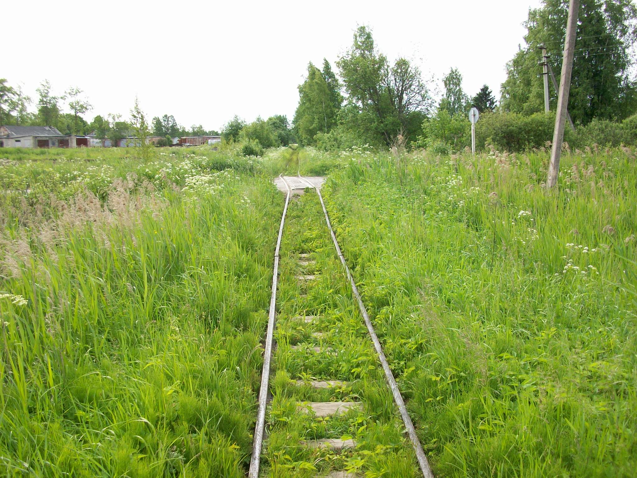 Узкоколейная железная дорога торфопредприятия «Гладкое
  —  фотографии, сделанные в 2015 году (часть 9)