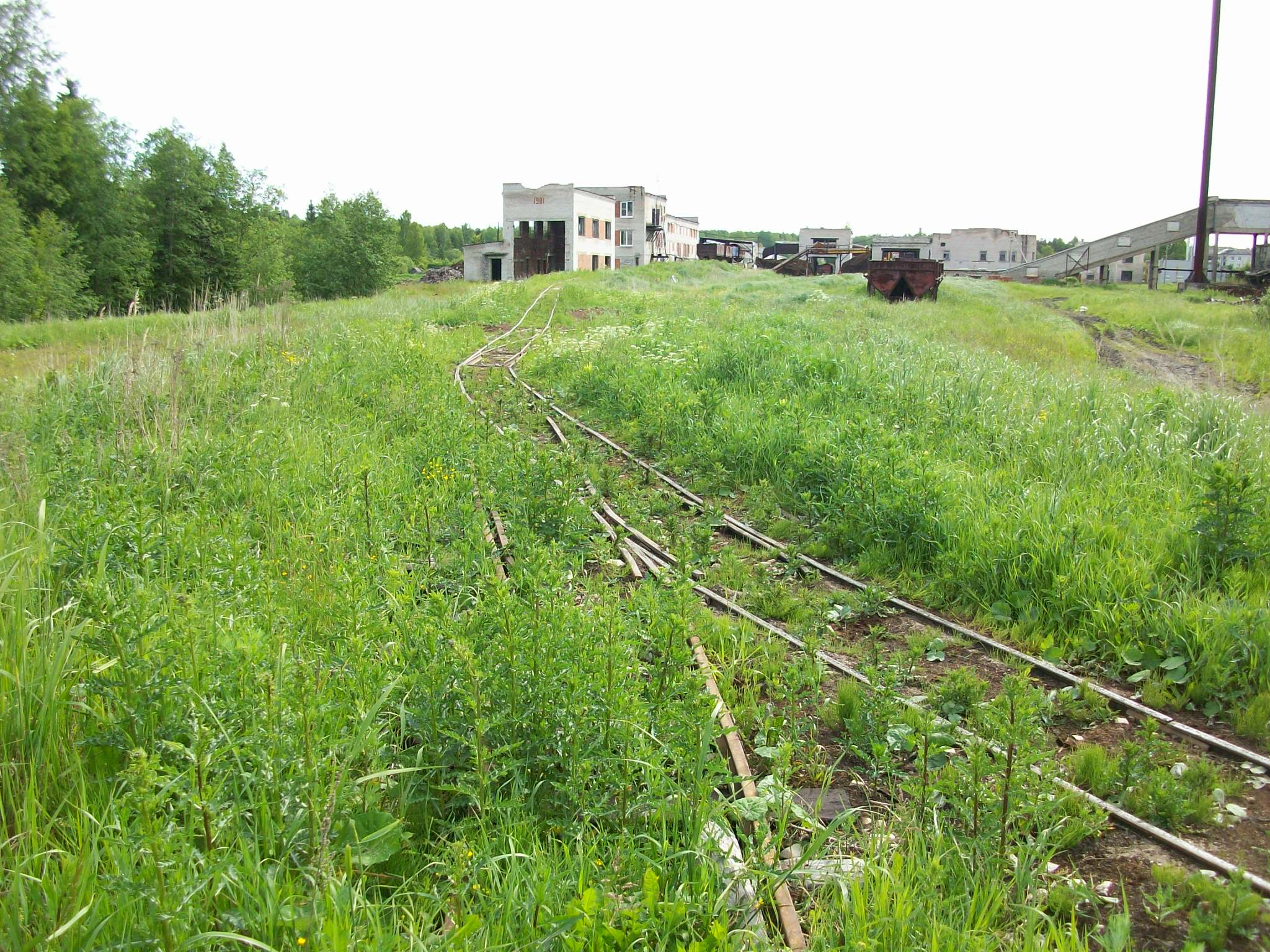 Узкоколейная железная дорога торфопредприятия «Гладкое
  —  фотографии, сделанные в 2015 году (часть 10)
