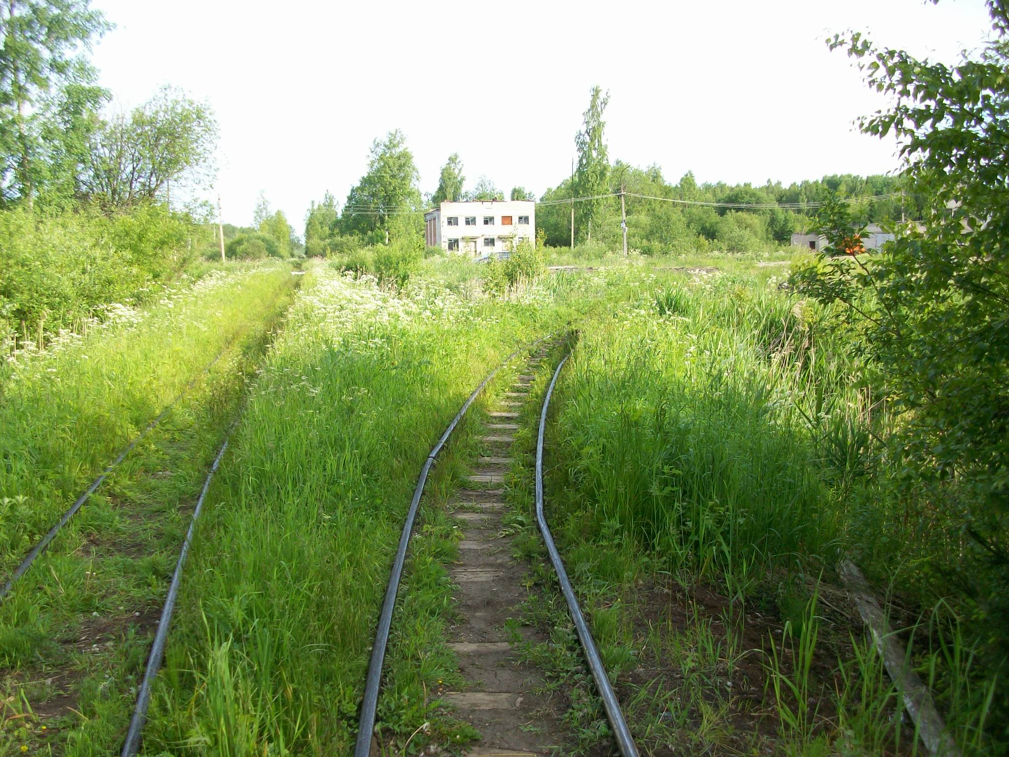 Черусти фото поселка и местности