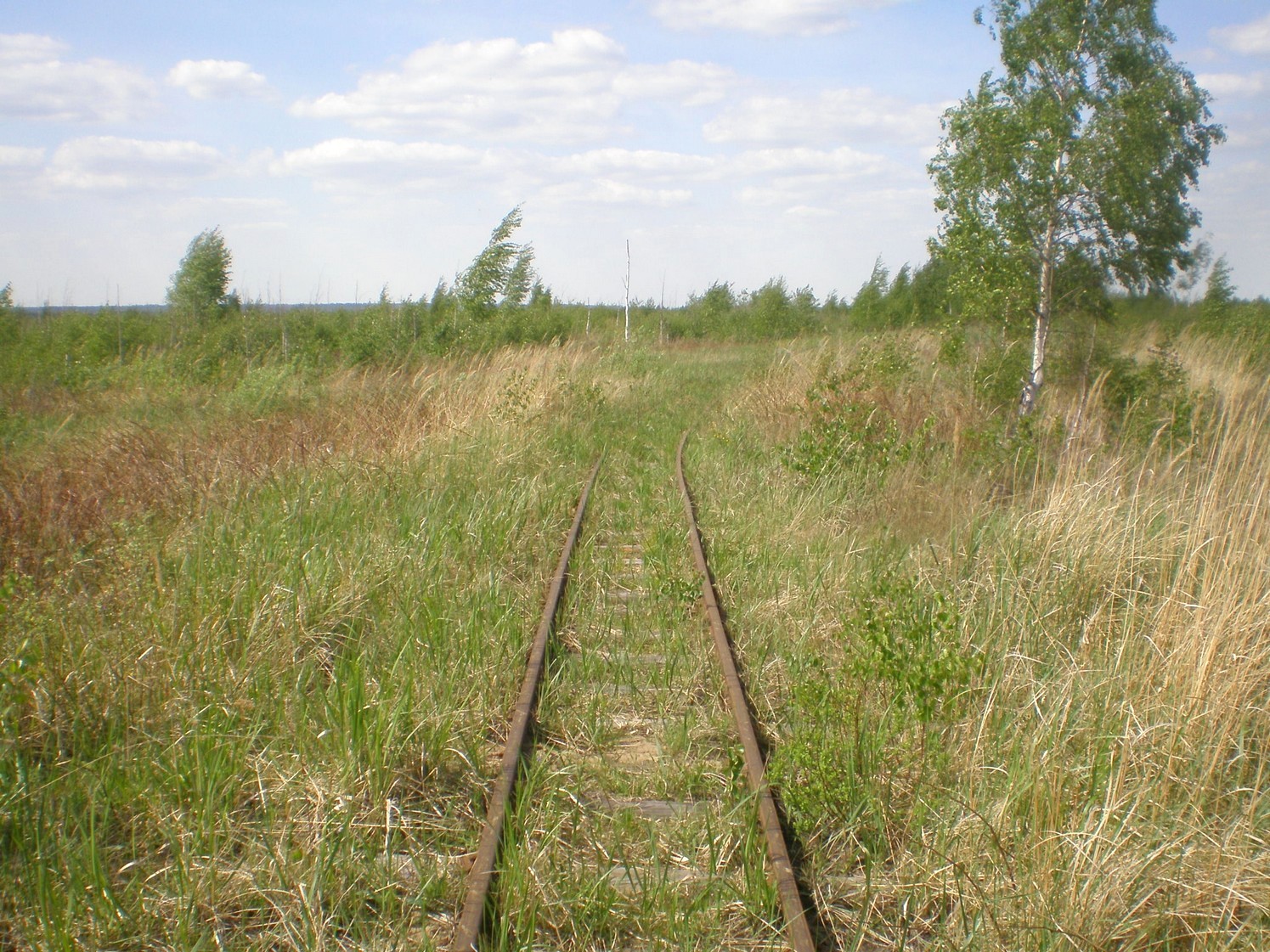 Узкоколейная железная дорога Гусевского предприятия промышленного железнодорожного транспорта — фотографии, сделанные в 2009 году (часть 8)