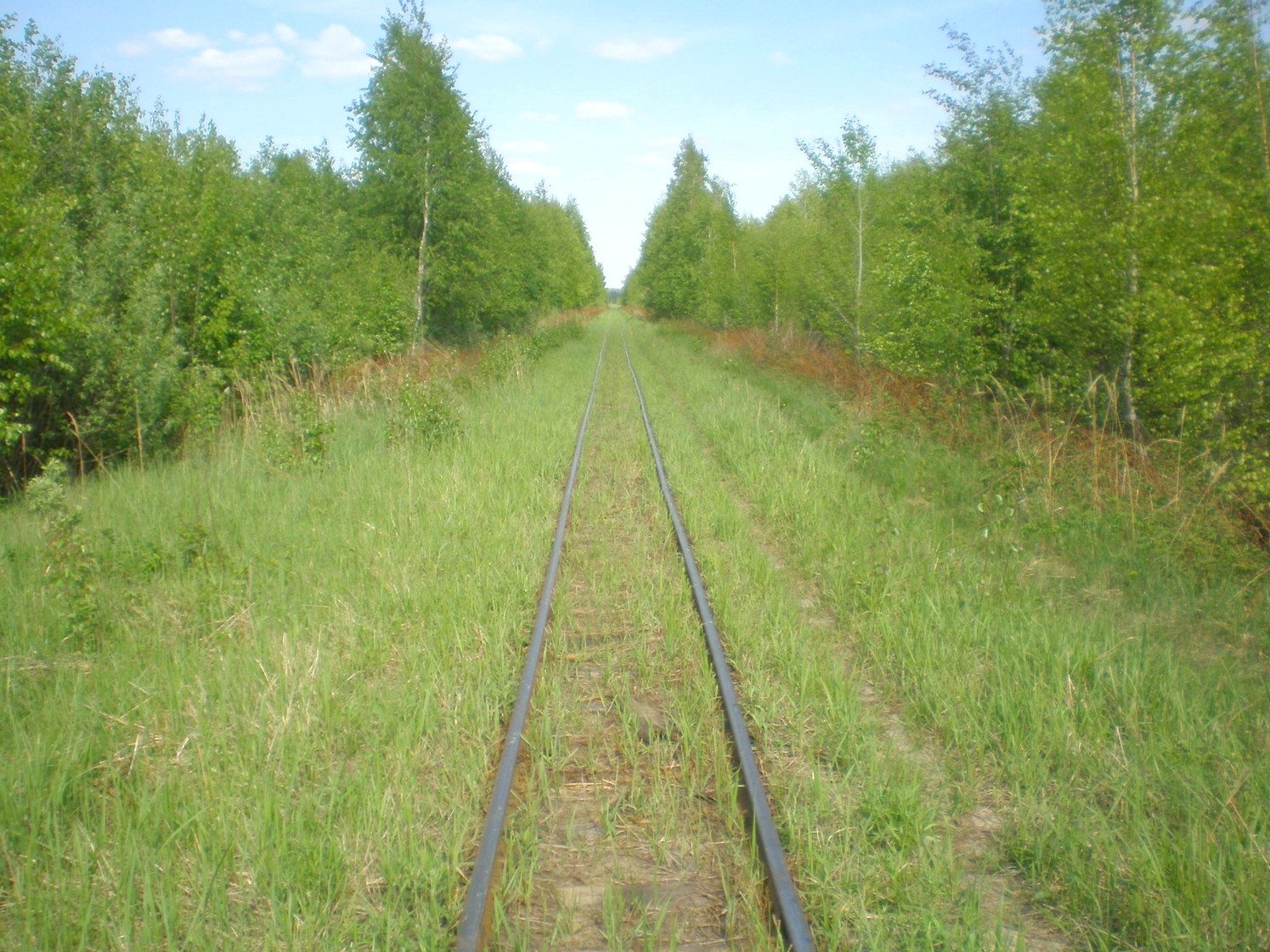 Узкоколейная железная дорога Гусевского предприятия промышленного железнодорожного транспорта — фотографии, сделанные в 2009 году (часть 10)