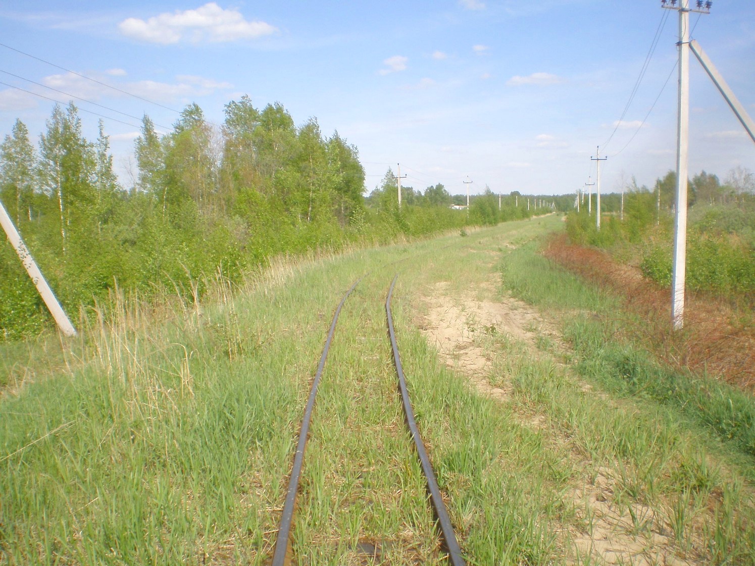 Узкоколейная железная дорога Гусевского предприятия промышленного железнодорожного транспорта — фотографии, сделанные в 2009 году (часть 11)