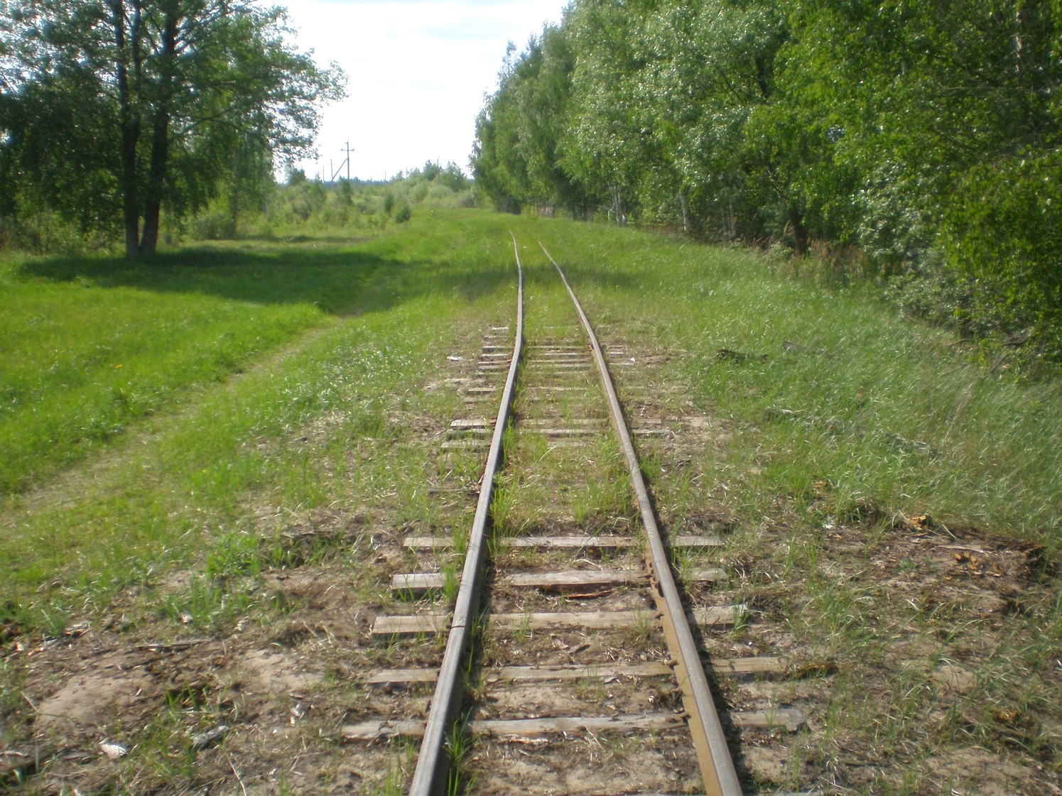 Узкоколейная железная дорога Гусевского предприятия промышленного железнодорожного транспорта — фотографии, сделанные в 2009 году (часть 12)