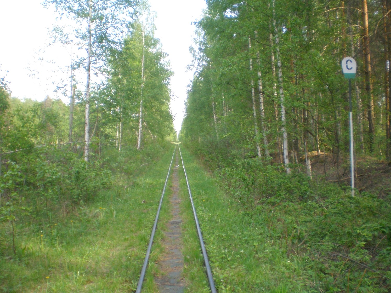 Узкоколейная железная дорога Гусевского предприятия промышленного железнодорожного транспорта — фотографии, сделанные в 2009 году (часть 13)