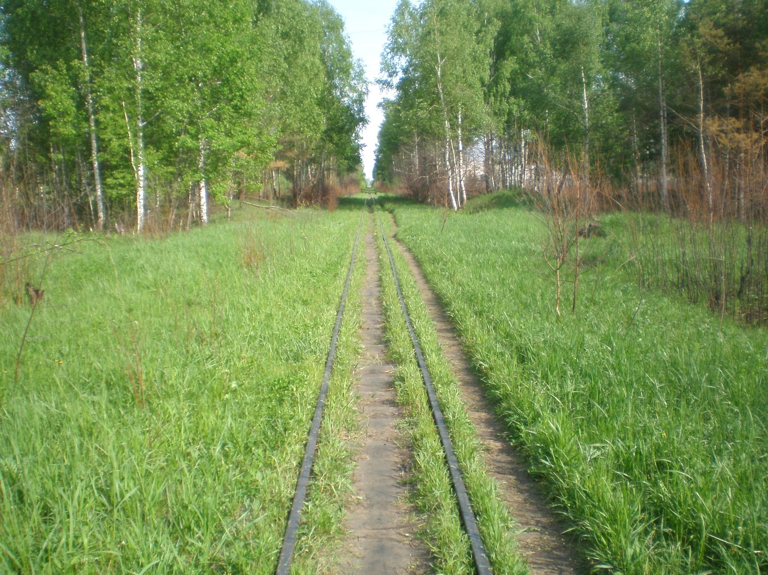 Узкоколейная железная дорога Гусевского предприятия промышленного железнодорожного транспорта — фотографии, сделанные в 2009 году (часть 14)