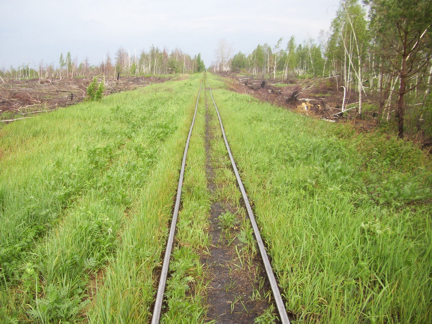 Узкоколейная железная дорога Гусевского предприятия промышленного железнодорожного транспорта
  —  фотографии, сделанные в 2011 году (часть 4)