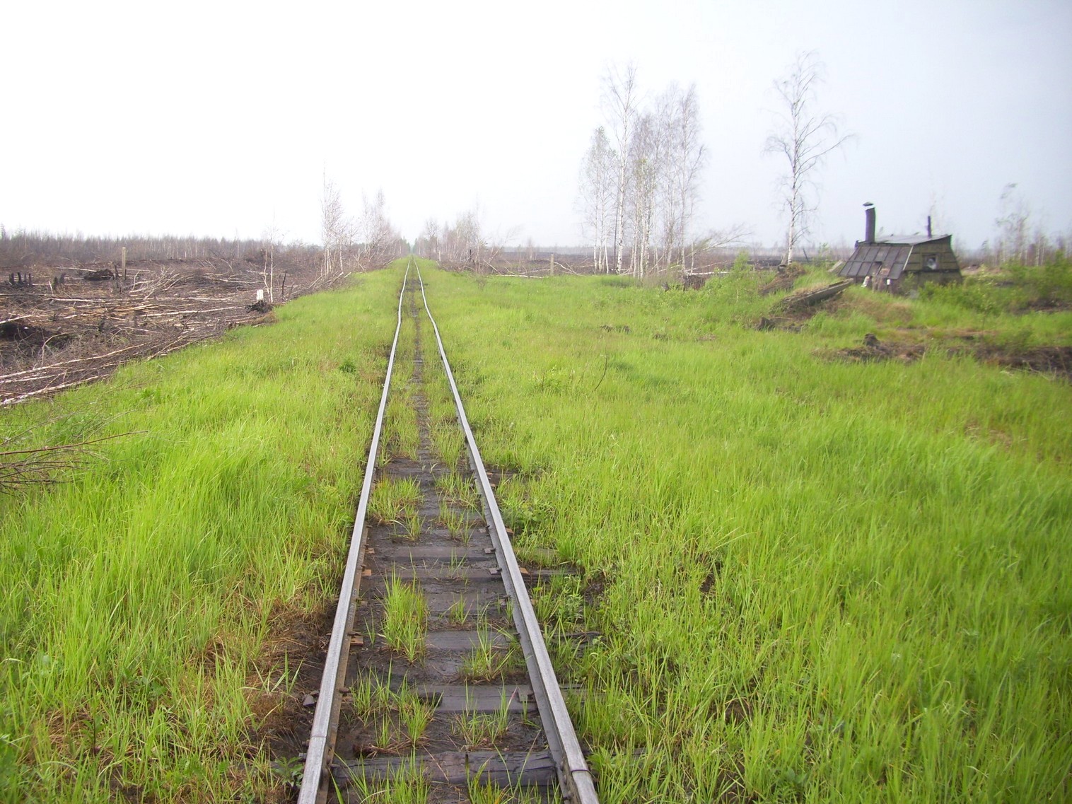 Узкоколейная железная дорога Гусевского предприятия промышленного железнодорожного транспорта
  —  фотографии, сделанные в 2011 году (часть 5)