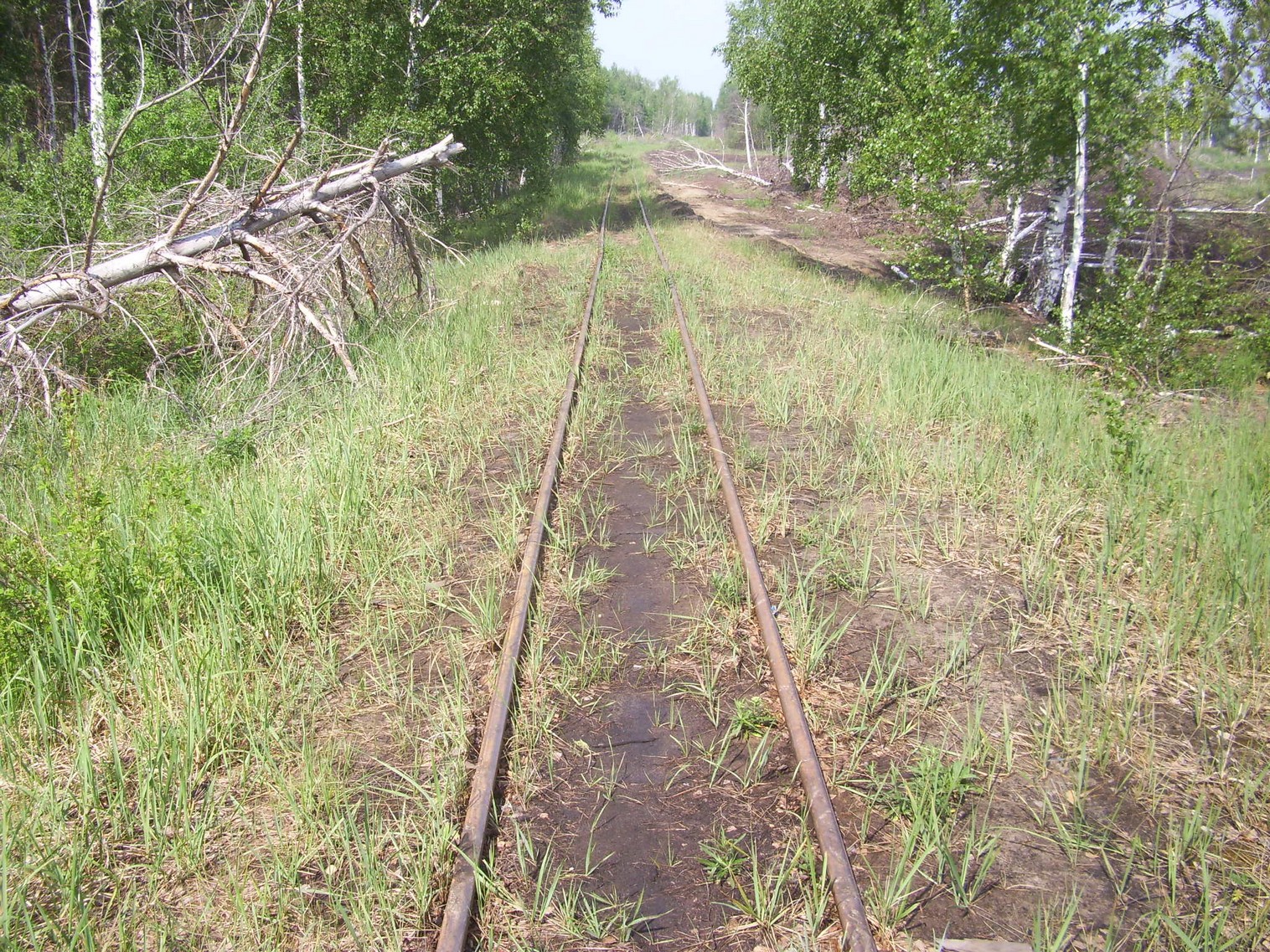 Узкоколейная железная дорога Гусевского предприятия промышленного железнодорожного транспорта
  —  фотографии, сделанные в 2011 году (часть 7)