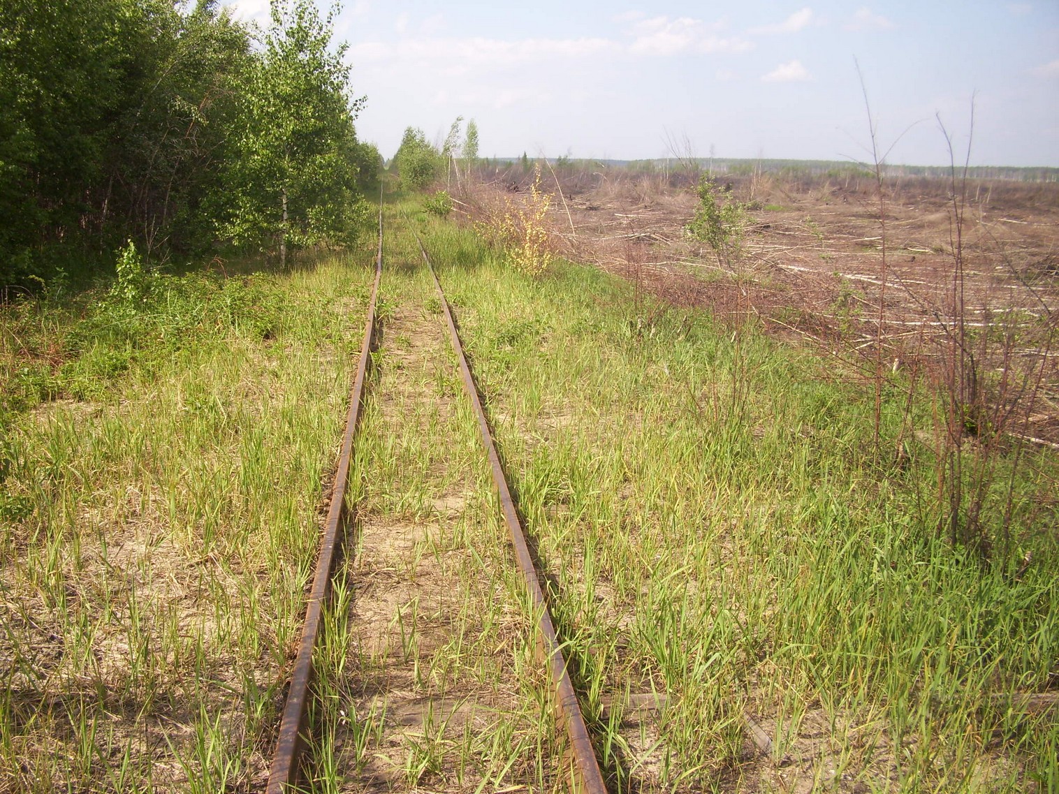 Узкоколейная железная дорога Гусевского предприятия промышленного железнодорожного транспорта
  —  фотографии, сделанные в 2011 году (часть 9)