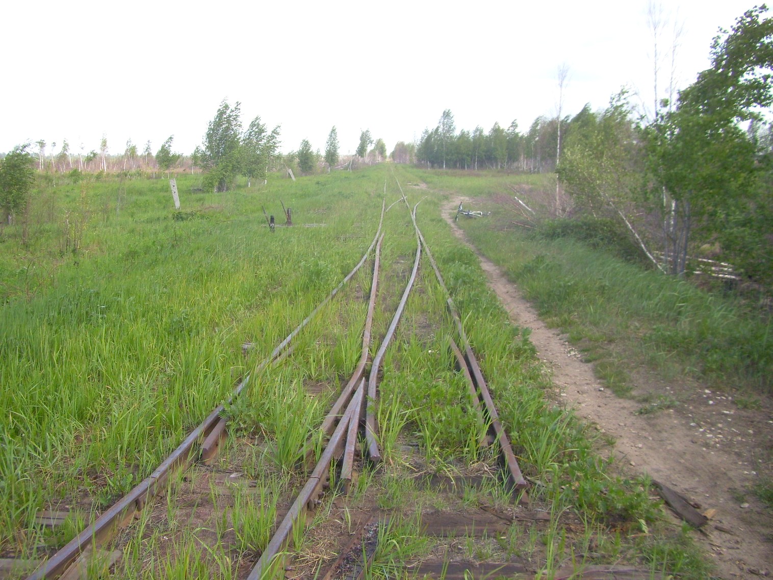Узкоколейная железная дорога Гусевского предприятия промышленного железнодорожного транспорта
  —  фотографии, сделанные в 2011 году (часть 12)