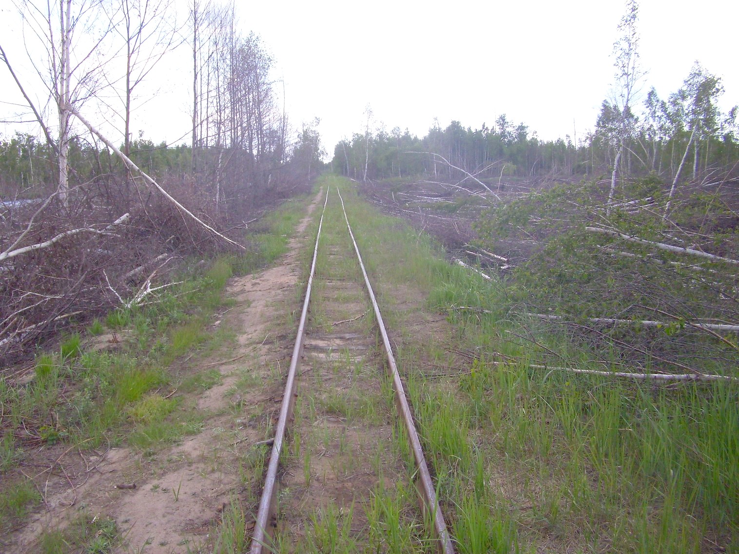 Узкоколейная железная дорога Гусевского предприятия промышленного железнодорожного транспорта
  —  фотографии, сделанные в 2011 году (часть 13)