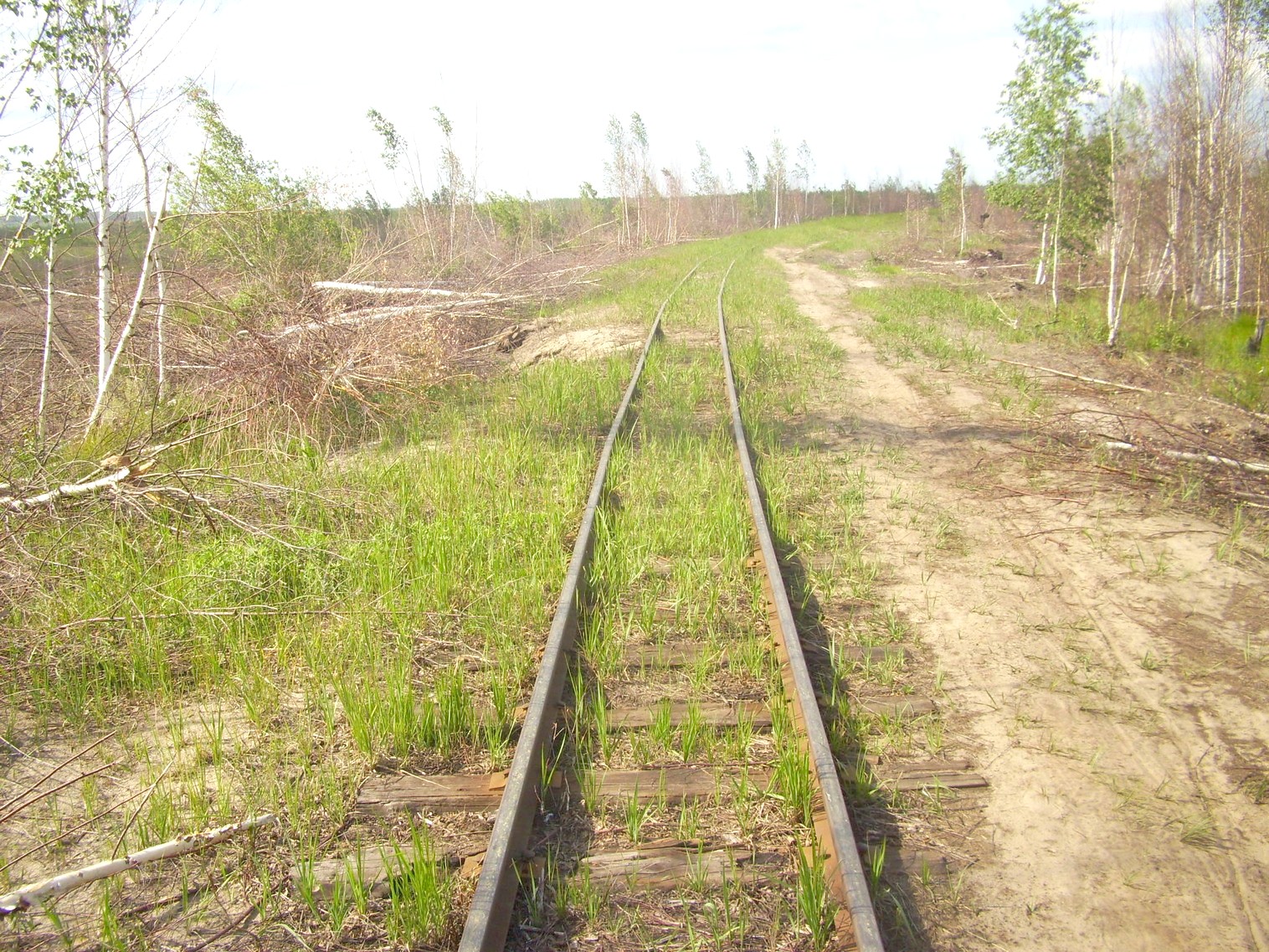 Узкоколейная железная дорога Гусевского предприятия промышленного железнодорожного транспорта
  —  фотографии, сделанные в 2011 году (часть 15)