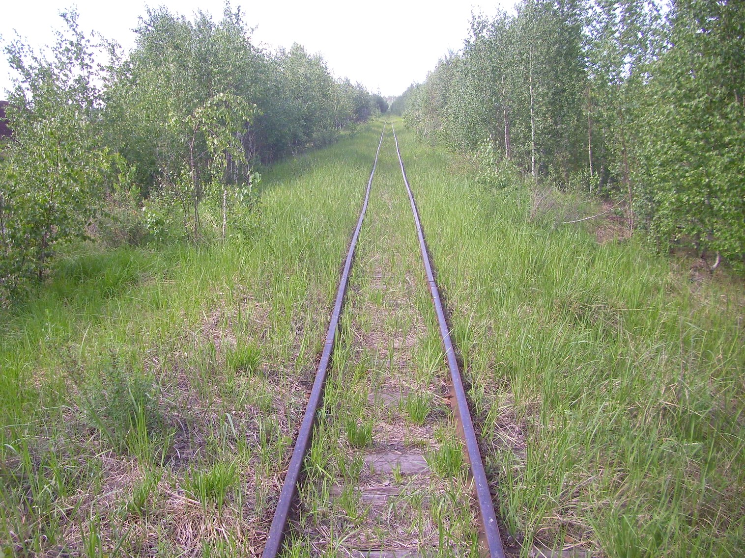 Узкоколейная железная дорога Гусевского предприятия промышленного железнодорожного транспорта
  —  фотографии, сделанные в 2011 году (часть 16)