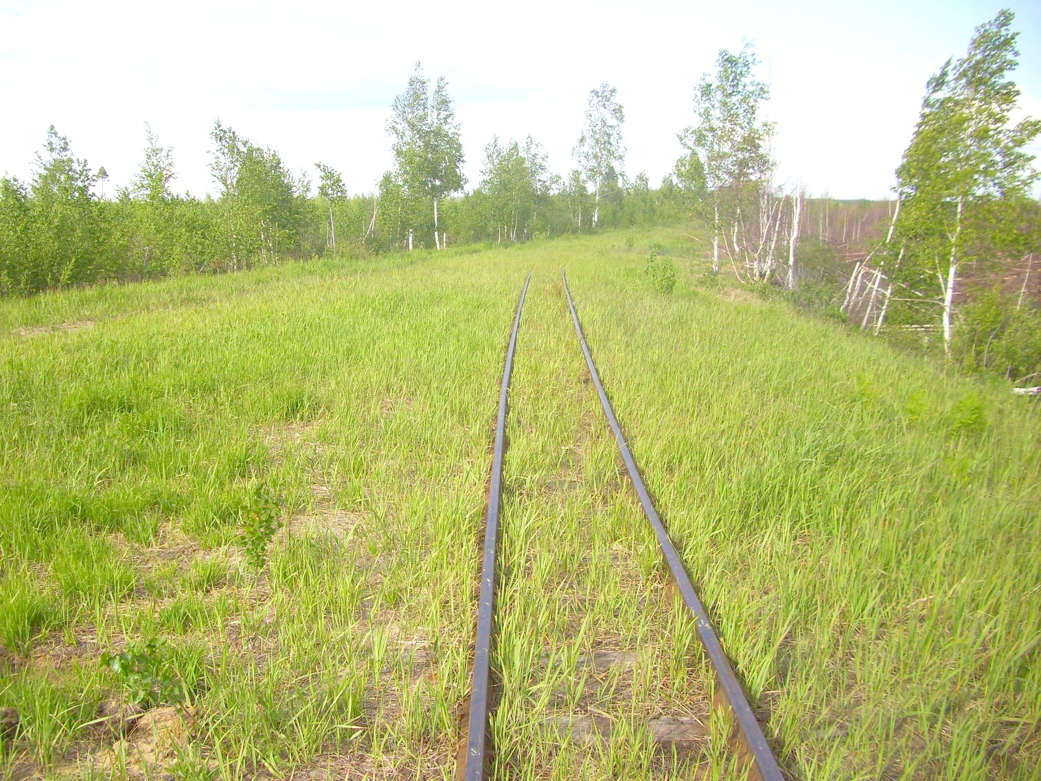 Узкоколейная железная дорога Гусевского предприятия промышленного железнодорожного транспорта
  —  фотографии, сделанные в 2011 году (часть 17)
