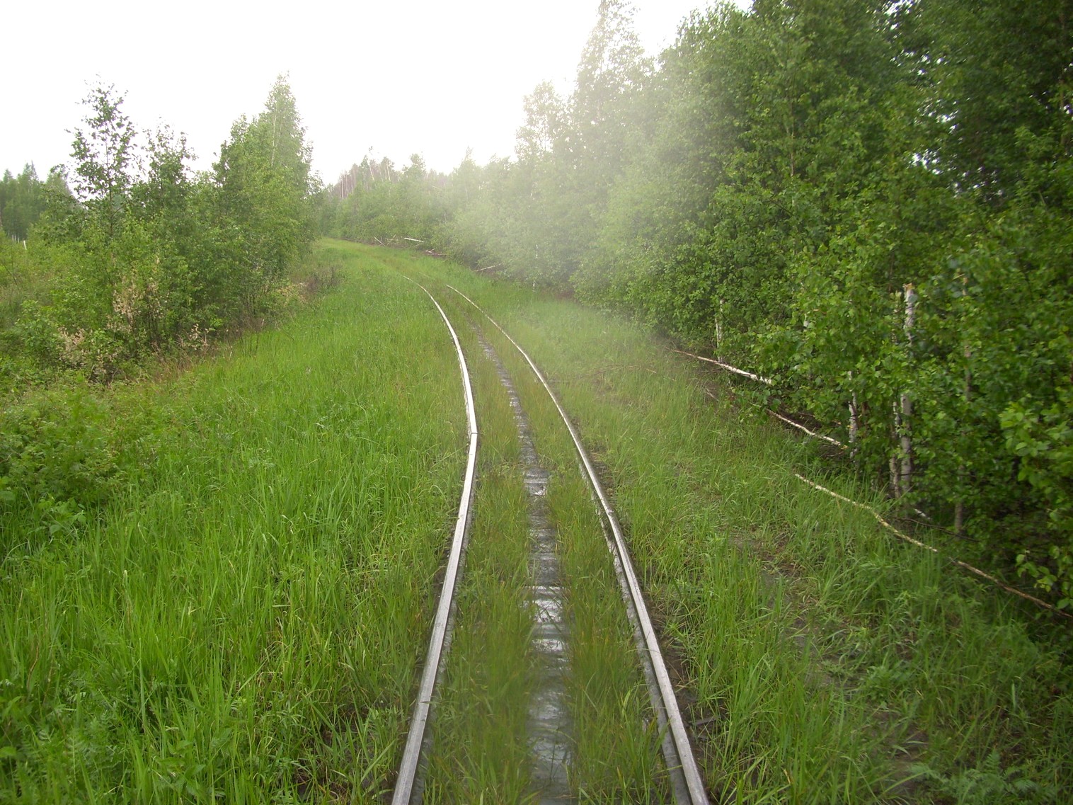 Узкоколейная железная дорога Гусевского предприятия промышленного железнодорожного транспорта
  —  фотографии, сделанные в 2011 году (часть 3)