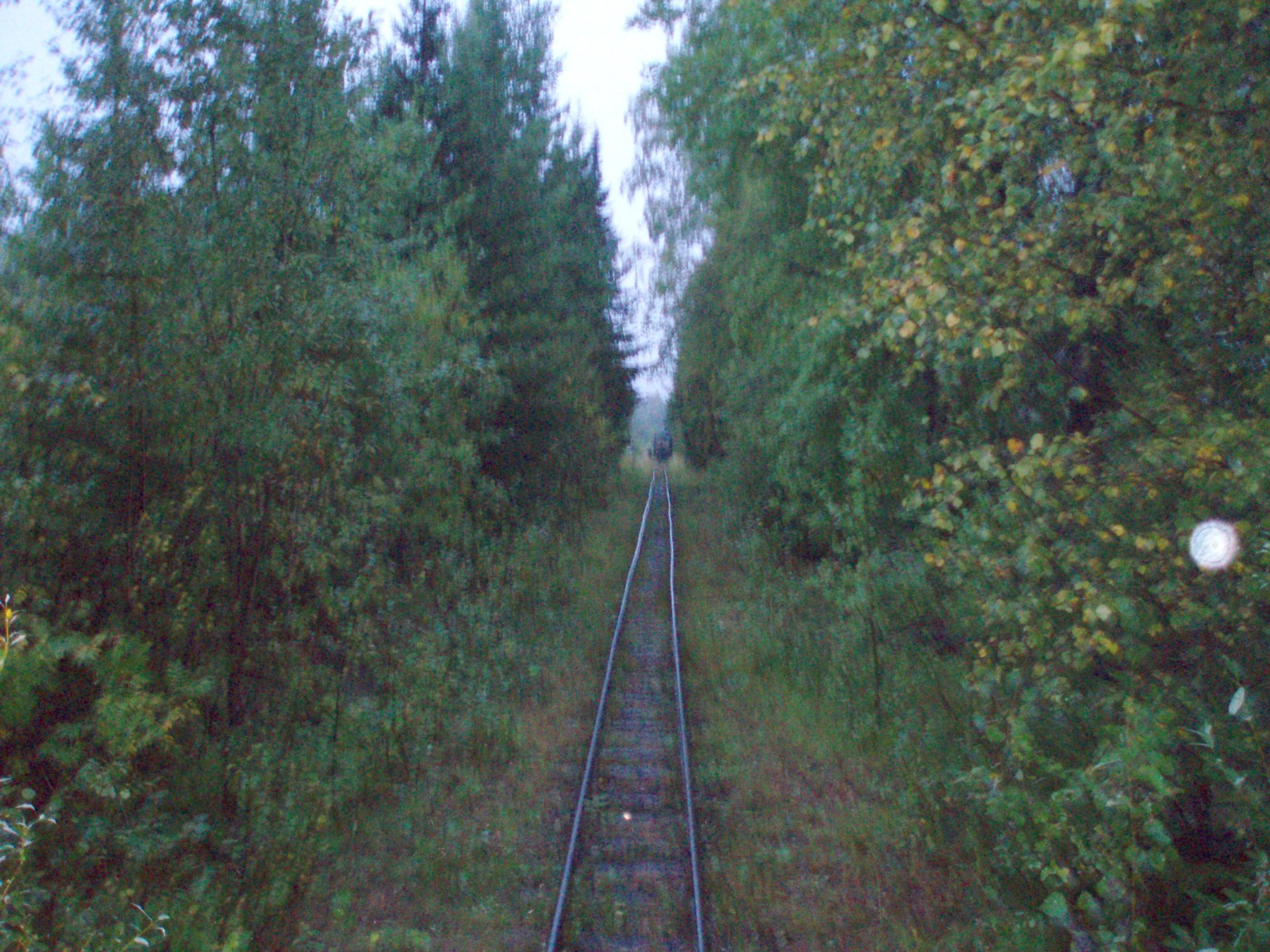 Октябрьская узкоколейная железная дорога - фотографии (часть 1)