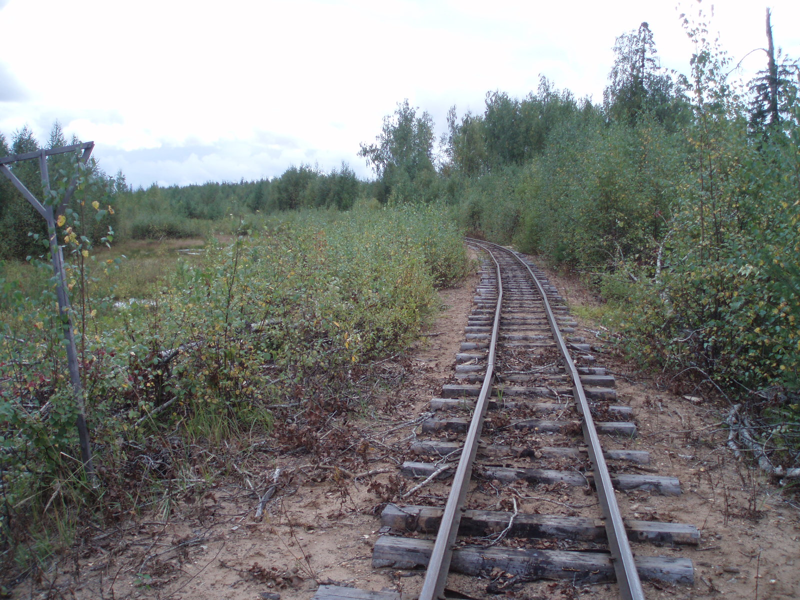 Октябрьская узкоколейная железная дорога - фотографии (часть 6)