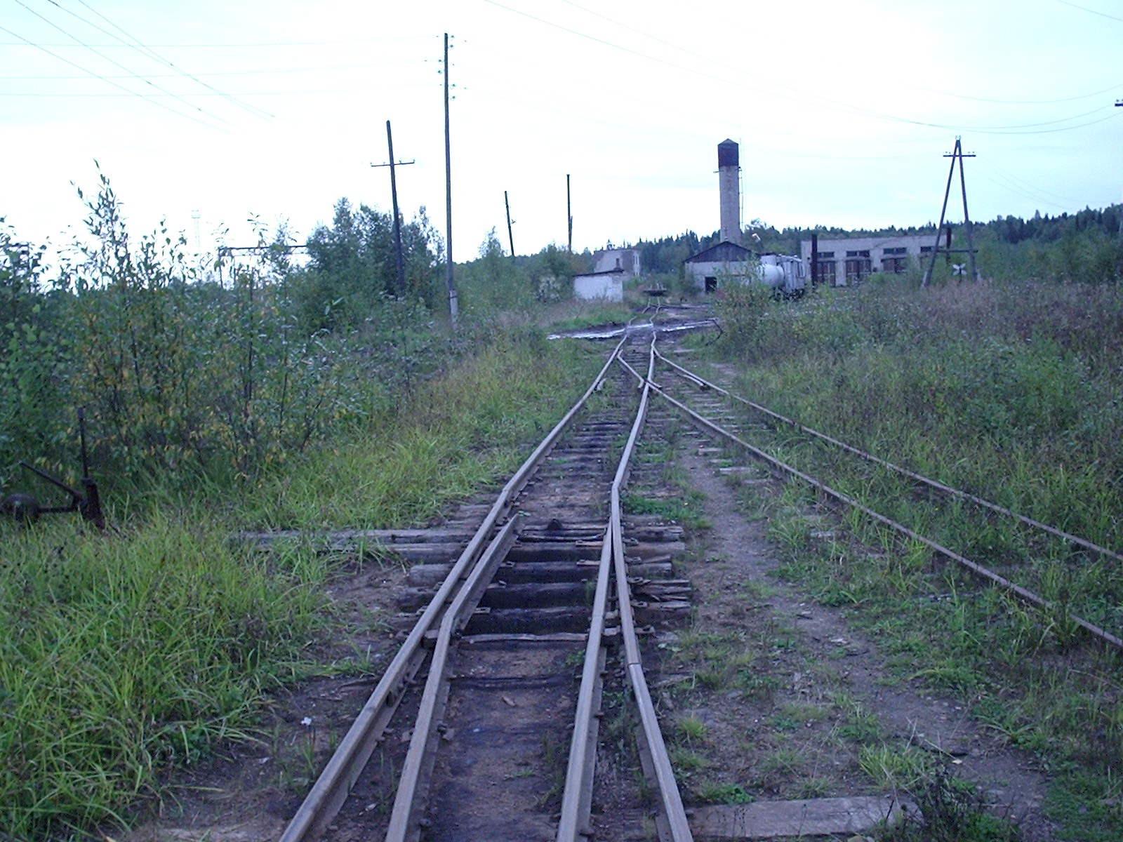 Октябрьская узкоколейная железная дорога - фотографии (часть 14)