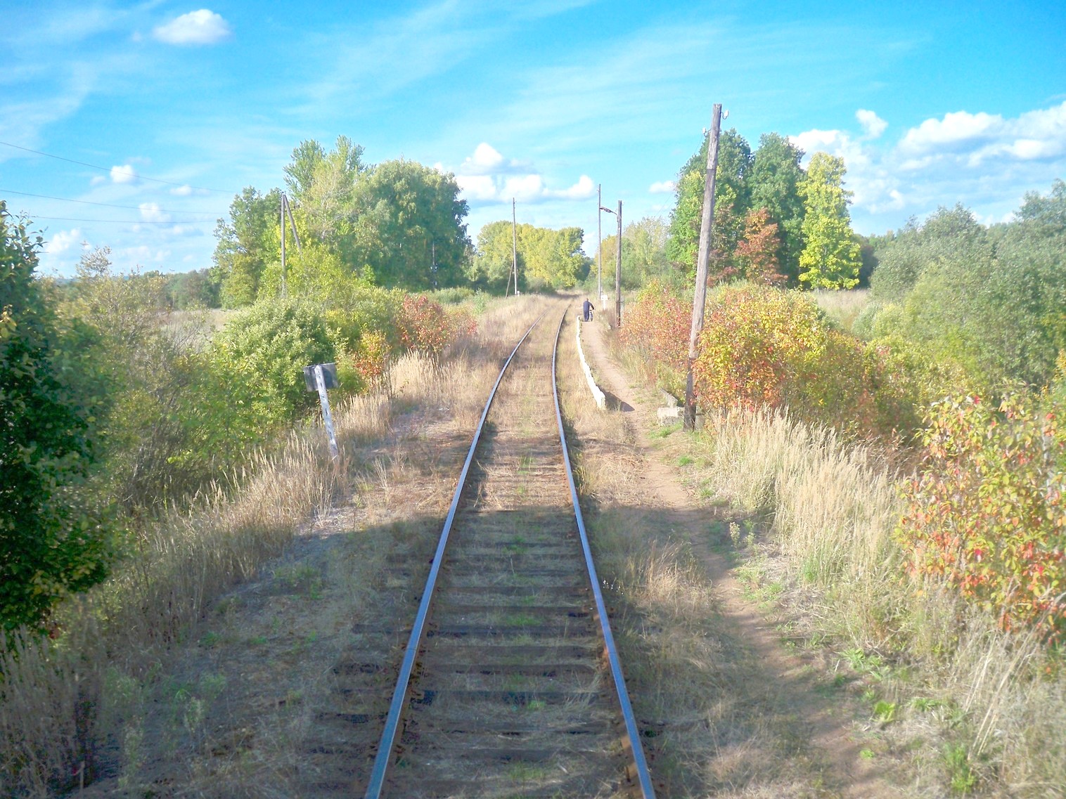 Железнодорожная линия Окуловка  — Неболчи
  —  фотографии, сделанные в 2013 году (часть 7)