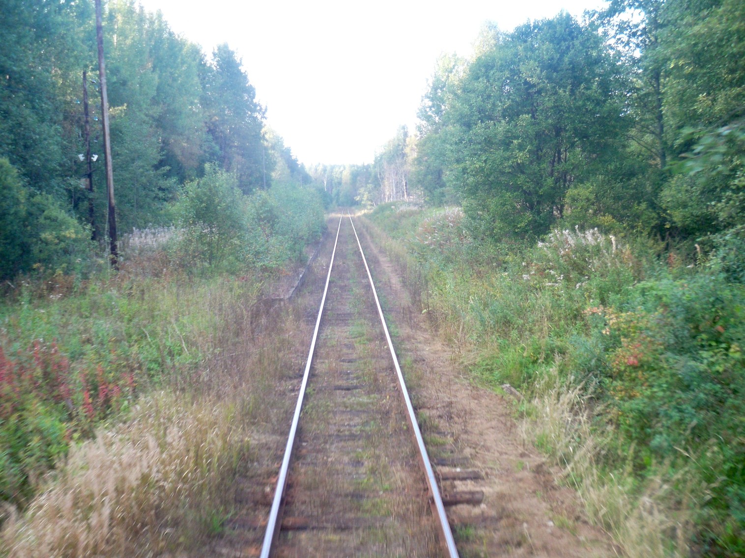 Железнодорожная линия Окуловка  — Неболчи
  —  фотографии, сделанные в 2013 году (часть 9)