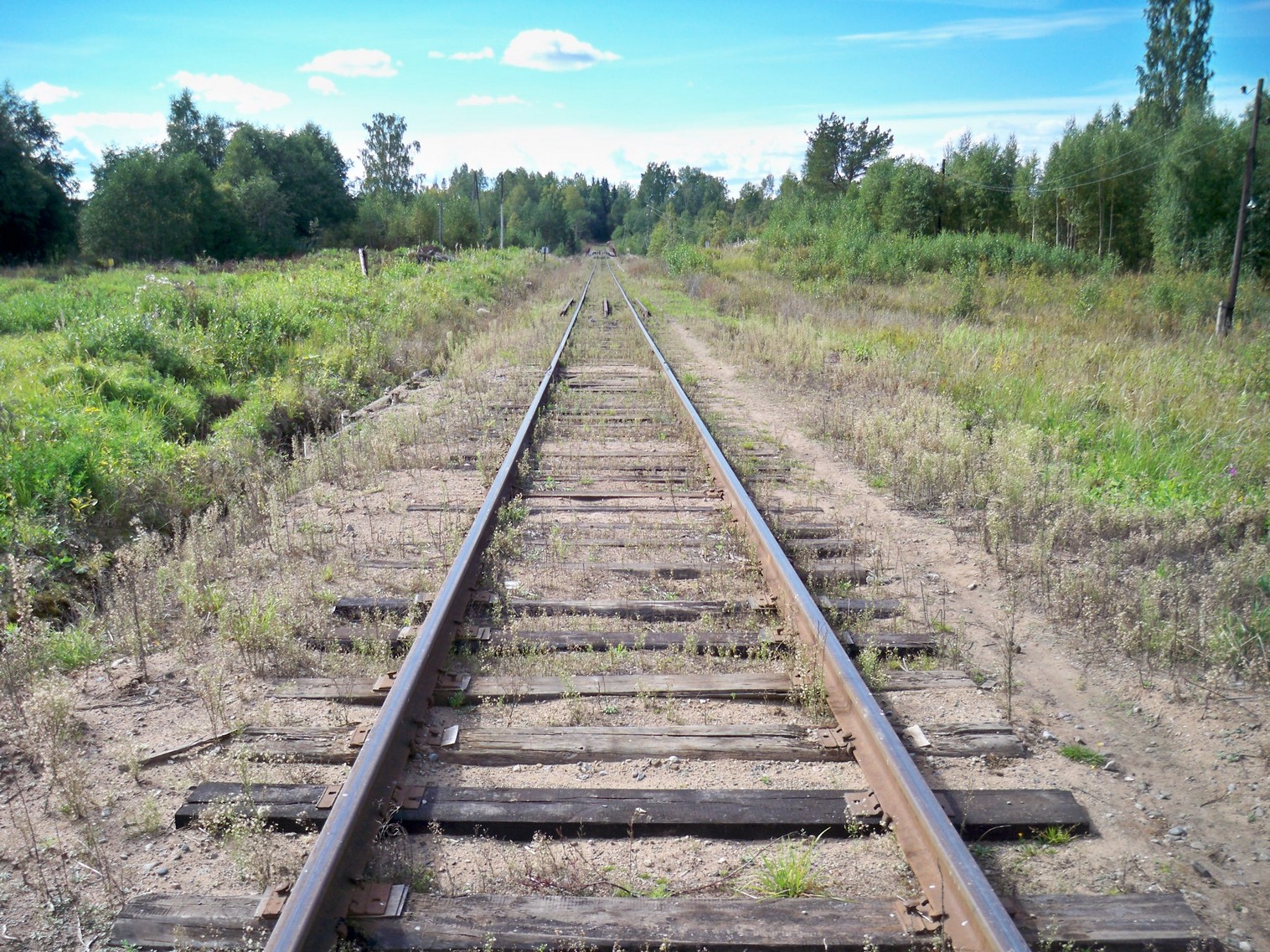 Железнодорожная линия Окуловка  — Неболчи
  —  фотографии, сделанные в 2013 году (часть 2)