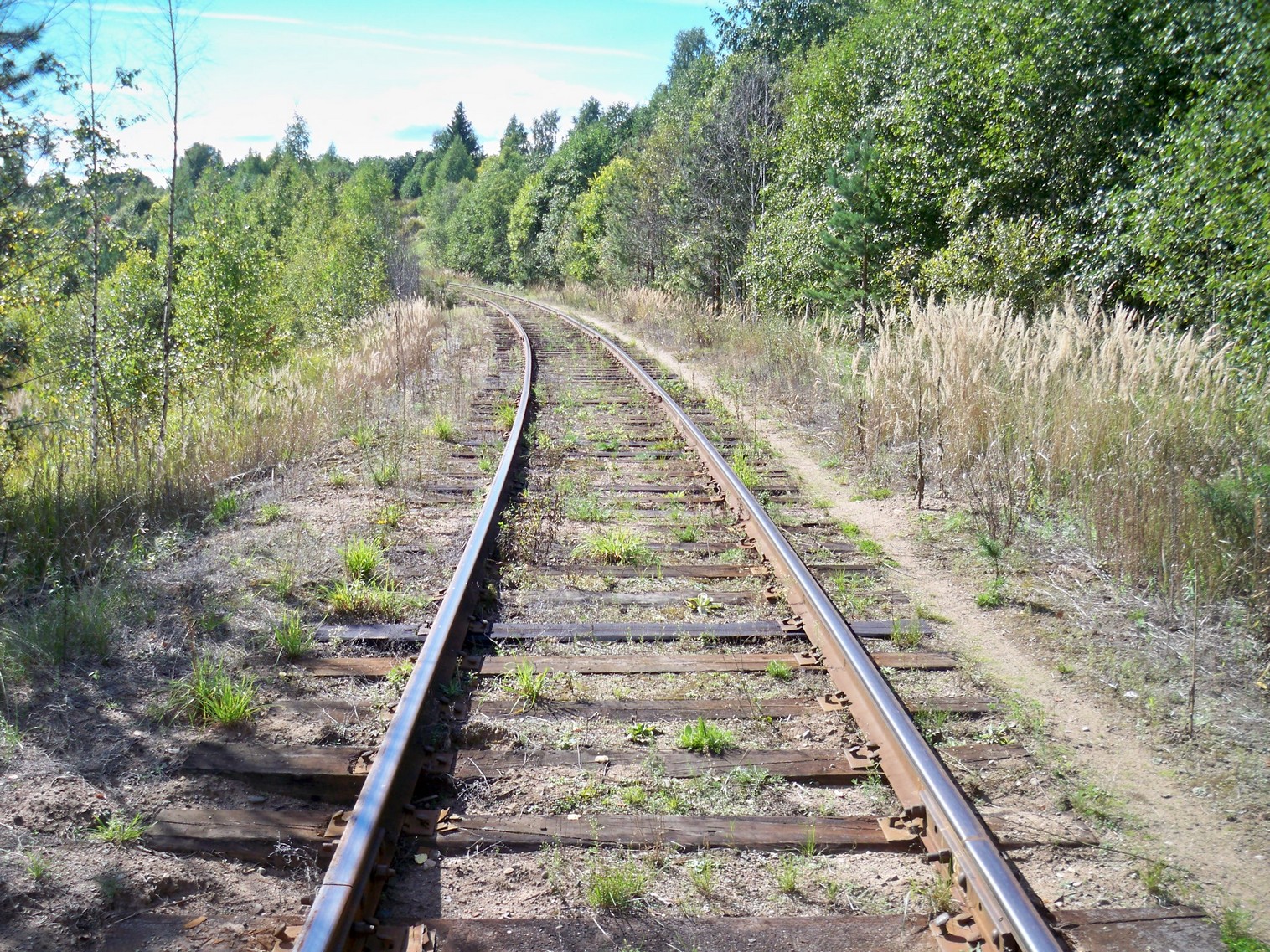 Железнодорожная линия Окуловка  — Неболчи
  —  фотографии, сделанные в 2013 году (часть 3)