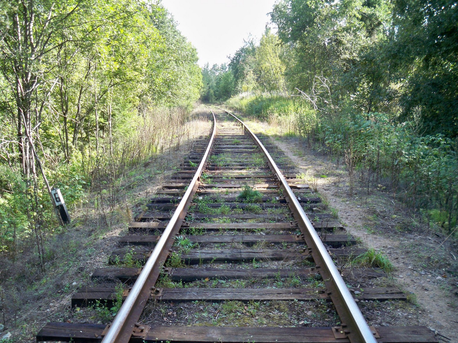 Железнодорожная линия Окуловка  — Неболчи
  —  фотографии, сделанные в 2013 году (часть 4)