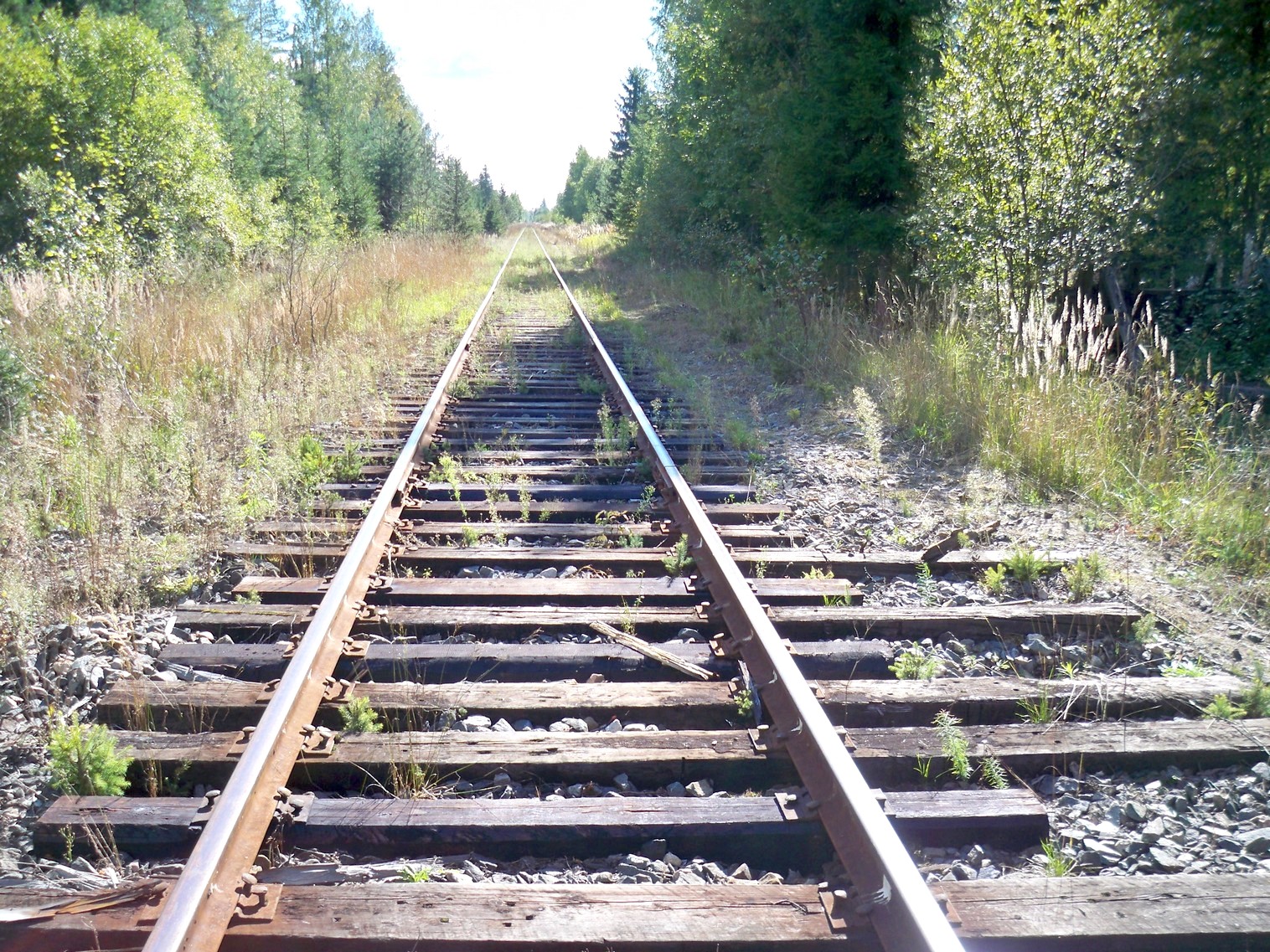 Железнодорожная линия Окуловка  — Неболчи
  —  фотографии, сделанные в 2013 году (часть 5)