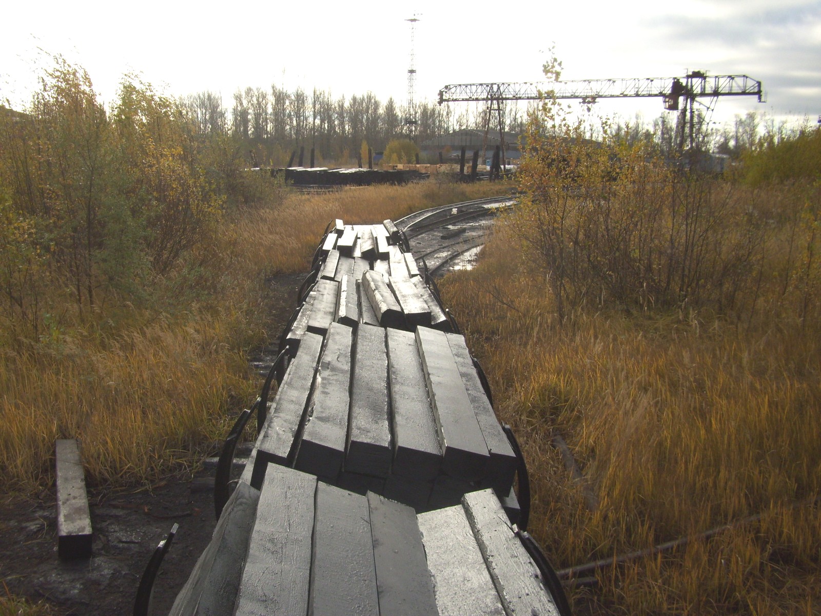 Узкоколейная железная дорога Ленинградского мачтопропиточного завода
  —  фотографии, сделанные в 2010 году (часть 3)