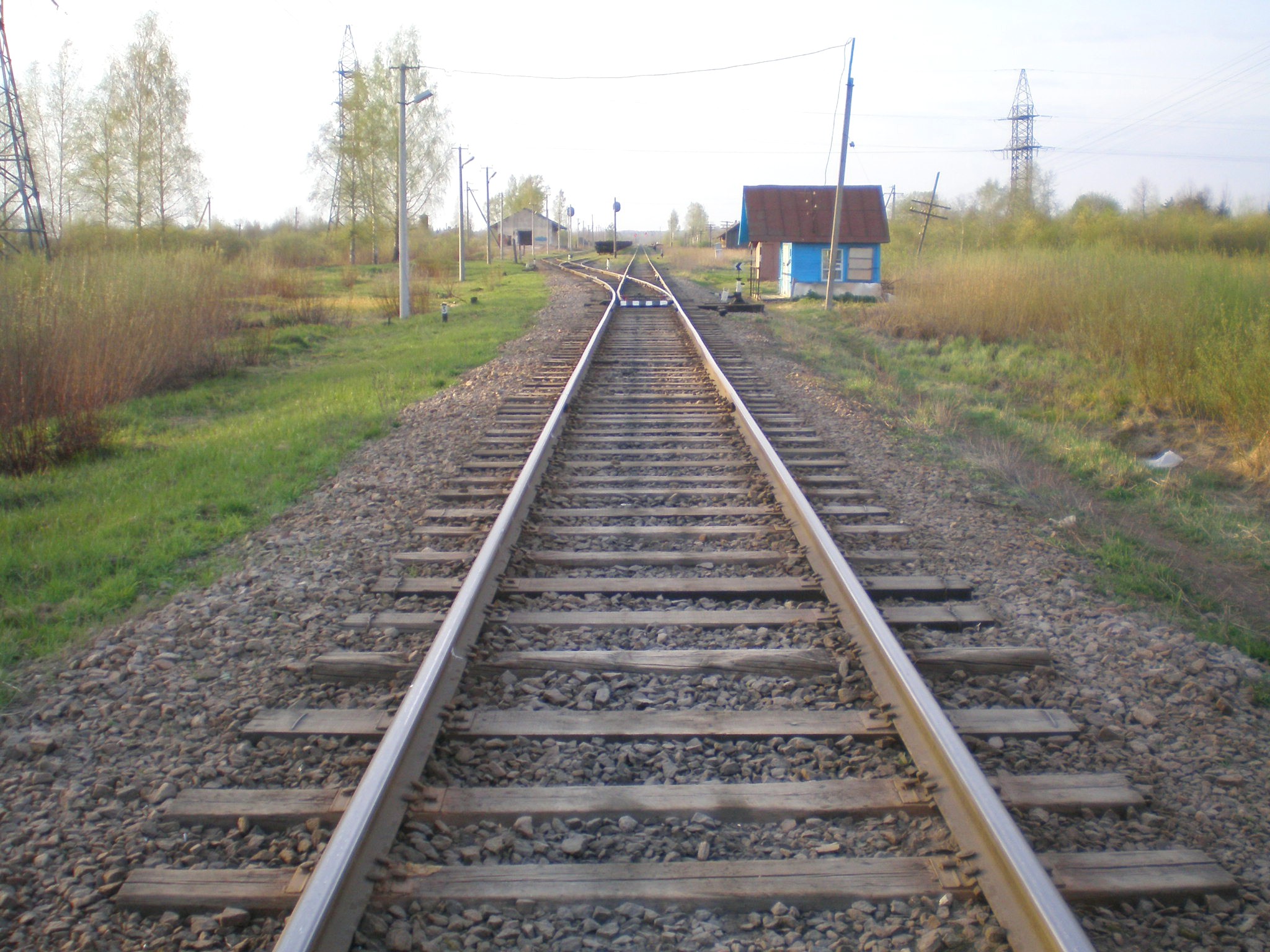 Железнодорожная линия Павловск —  Новолисино —  Новгород  —  фотографии, сделанные в 2008 году (часть 1)