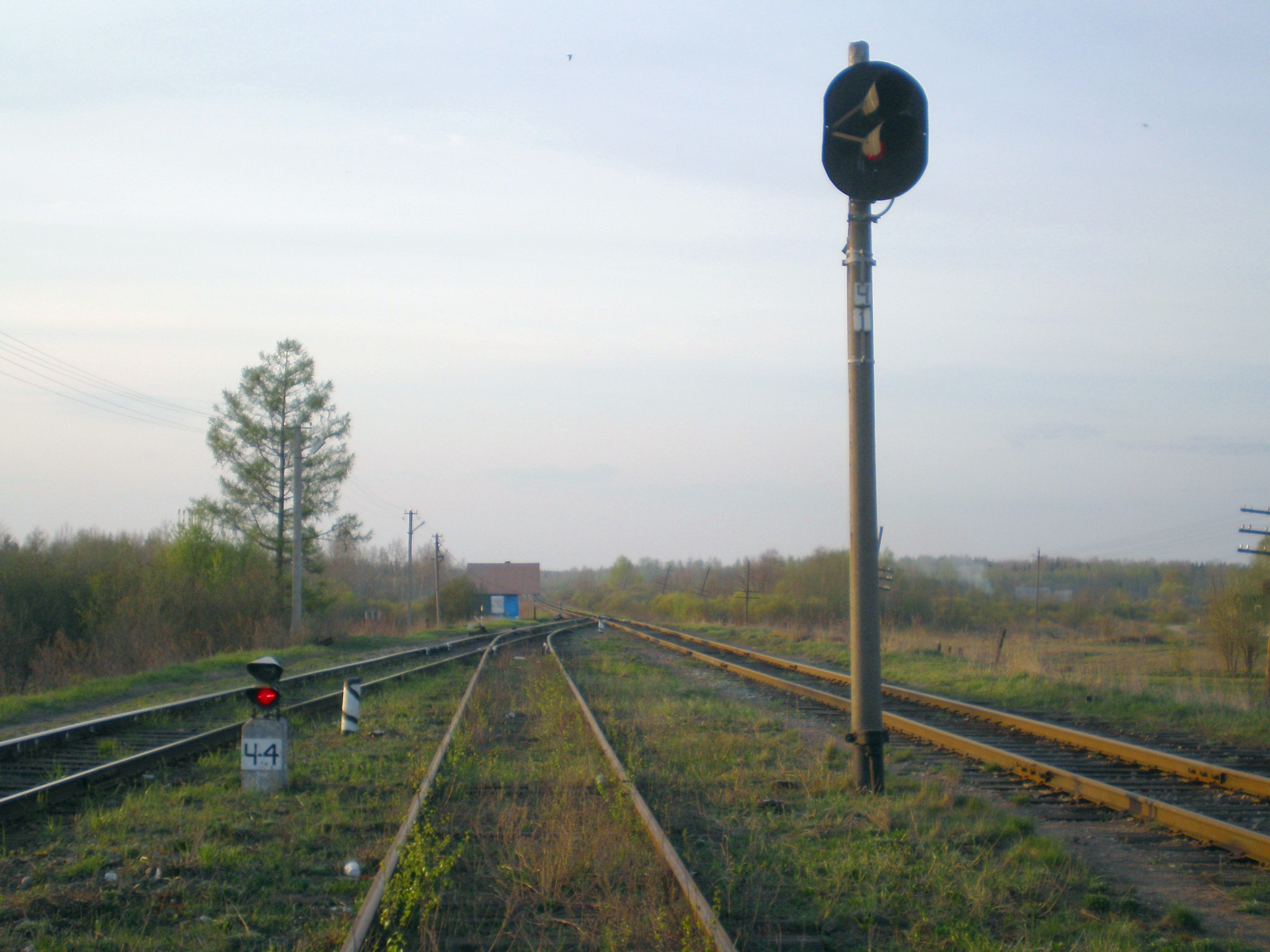 Железнодорожная линия Павловск —  Новолисино —  Новгород  —  фотографии, сделанные в 2008 году (часть 3)