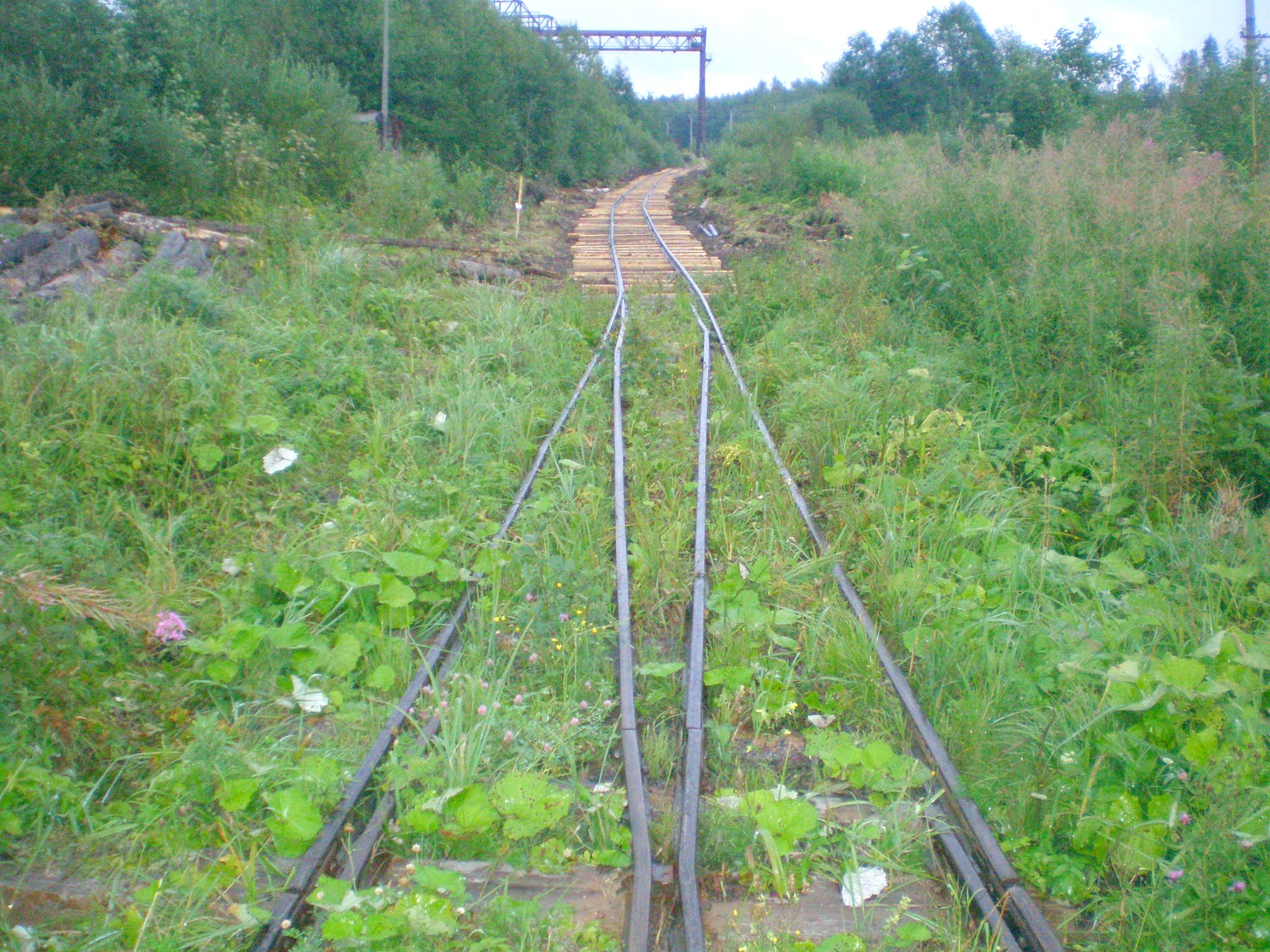 Репольская узкоколейная железная дорога — фотографии, сделанные в 2008 году (часть 6)