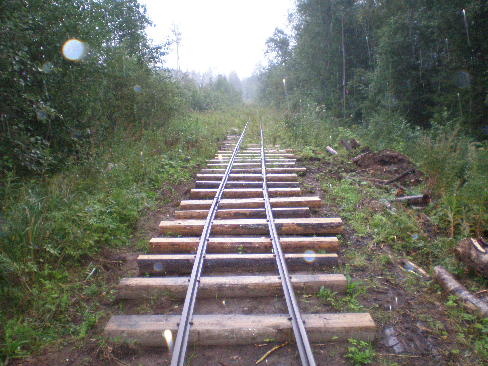 Репольская узкоколейная железная дорога — фотографии, сделанные в 2008 году (часть 7)