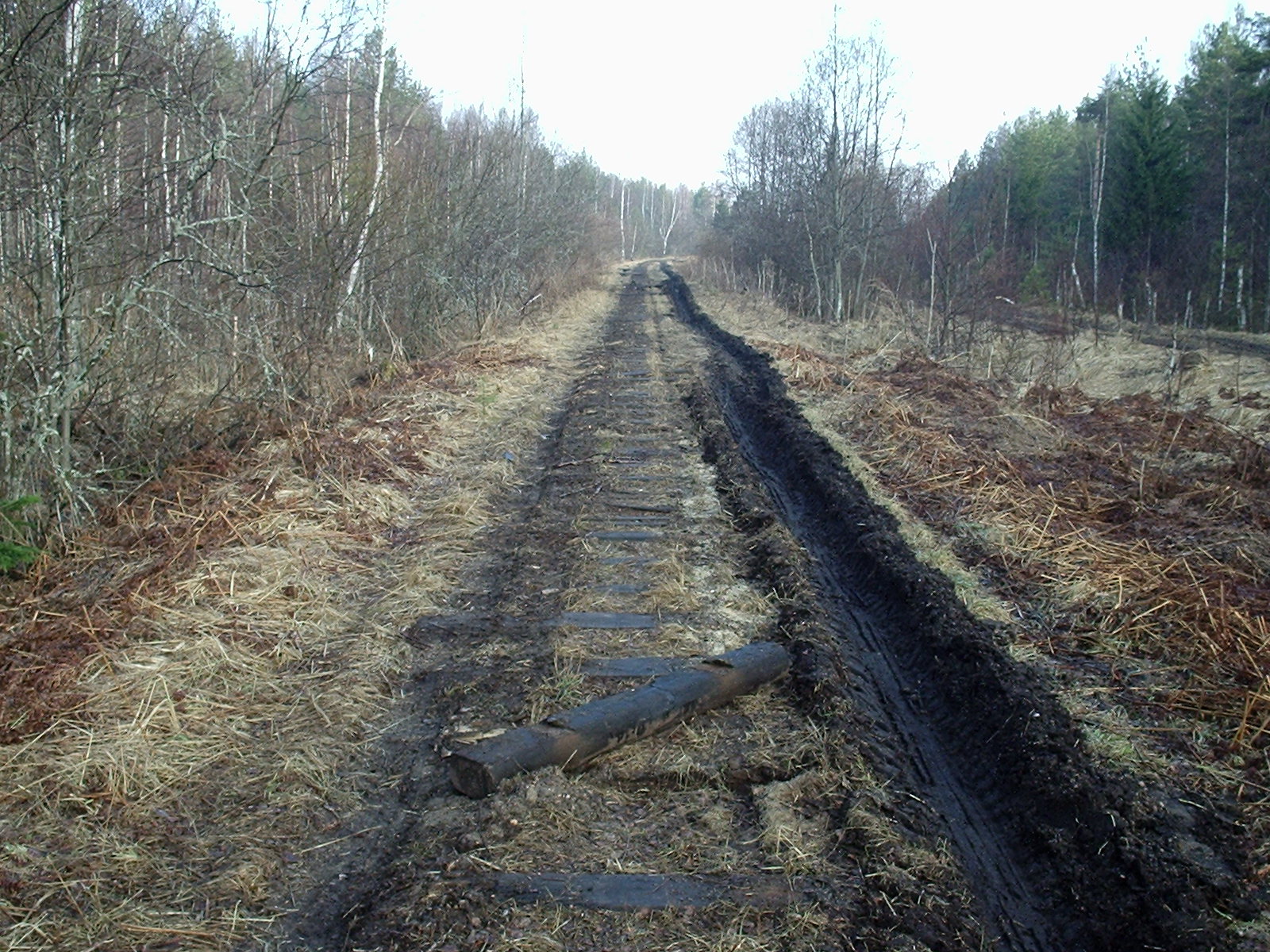 Узкоколейная железная дорога Рыбинского торфопредприятия -  фотографии, сделанные в 2006 году (часть 1)