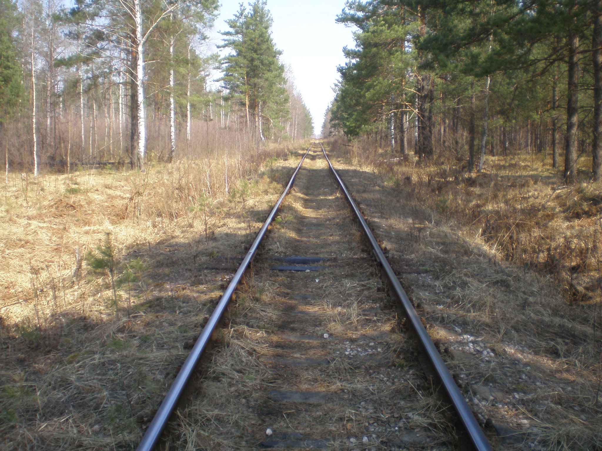 Железнодорожная линия Черусти — Уршель  —  фотографии, сделанные в 2009 году (часть 8)