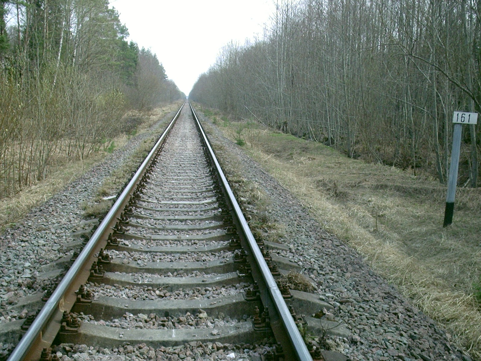 Железнодорожная линия Веймарн —  Сланцы —  Гдов  —  фотографии, сделанные в 2006 году (часть 3)