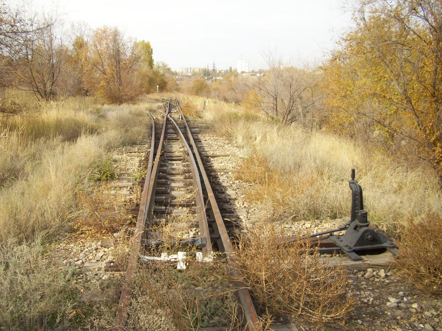 Детская железная дорога волгоград фото