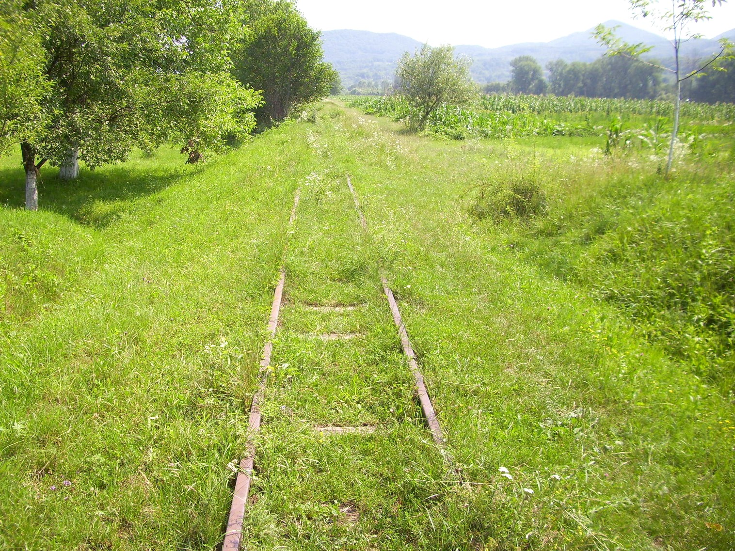 Боржавская узкоколейная железная дорога
  —  фотографии, сделанные в 2011 году (часть 8)