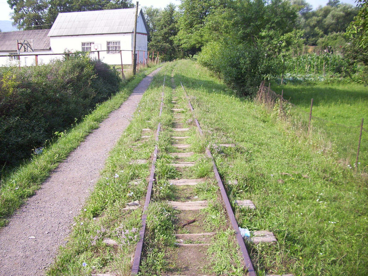Боржавская узкоколейная железная дорога
  —  фотографии, сделанные в 2011 году (часть 3)