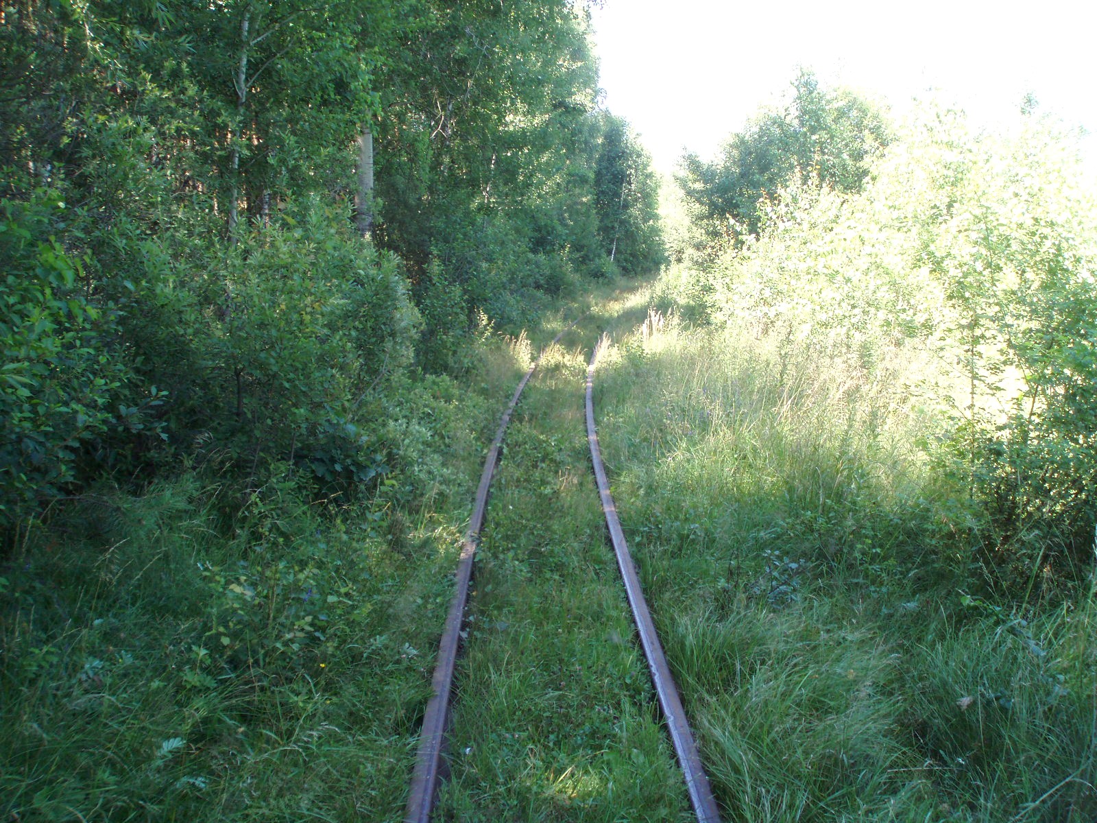Узкоколейная железная дорога Буртынского завода огнеупоров
  —  фотографии, сделанные в 2007 году (часть 4)